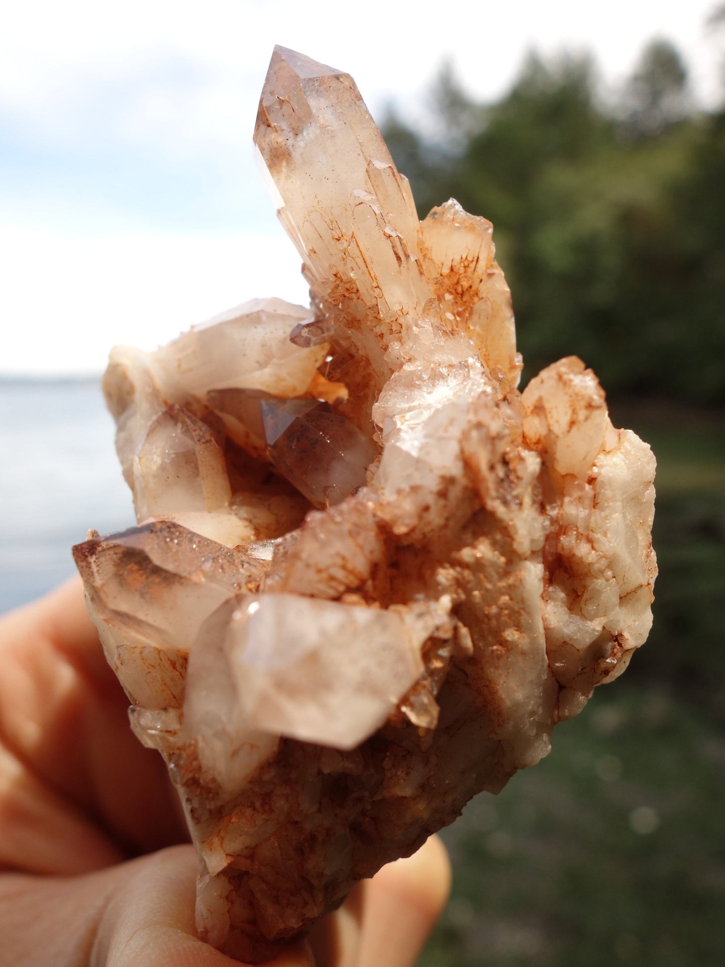  Brilliant Cathedral Quartz Points Orange River Cluster