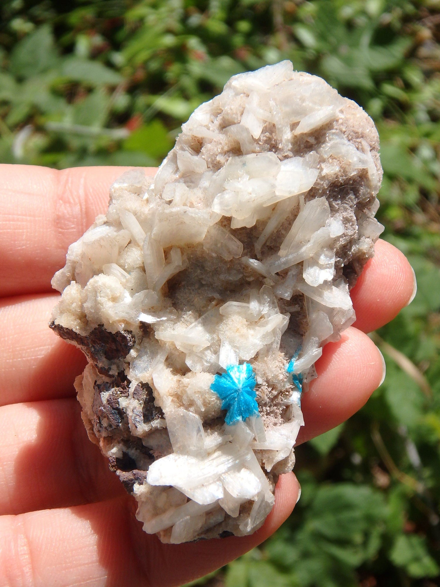  Electric Blue Cavansite on Heulandite Matrix From India1
