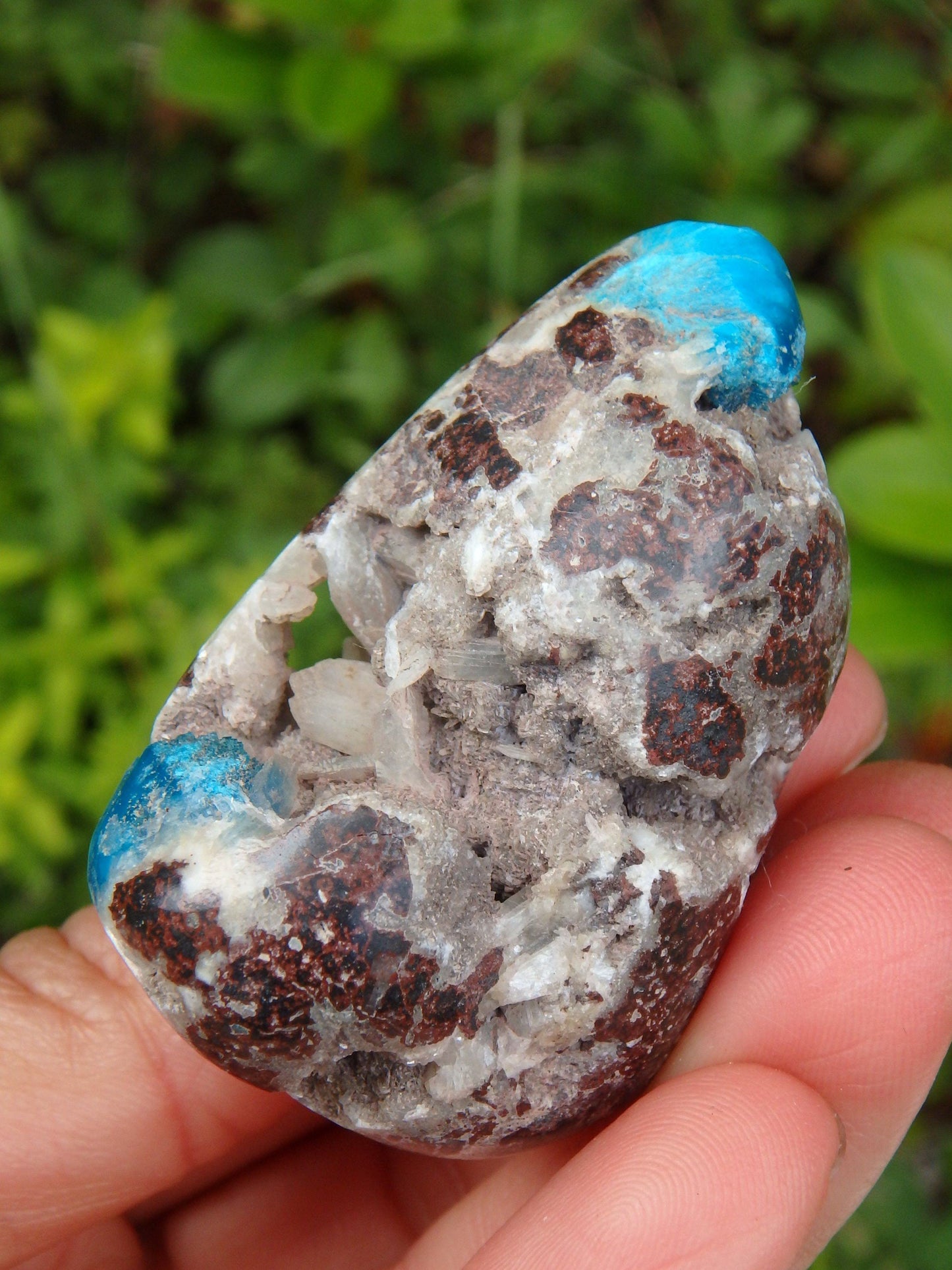  Electric Blue Cavansite in Partially Polished Matrix Palm Stone From India 1
