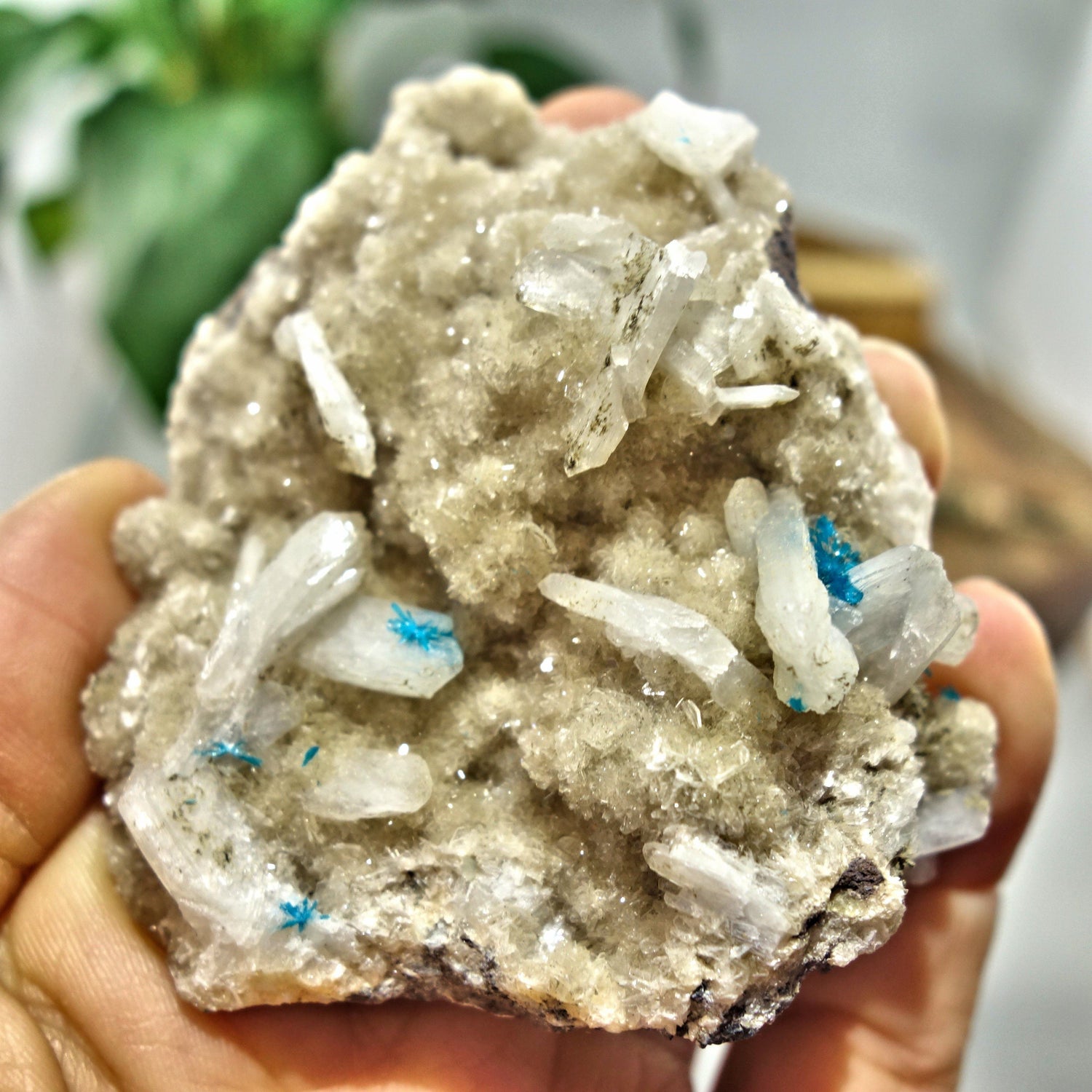  Electric Blue Cavansite Flowers Nestled on Shimmering Heulandite Matrix From India