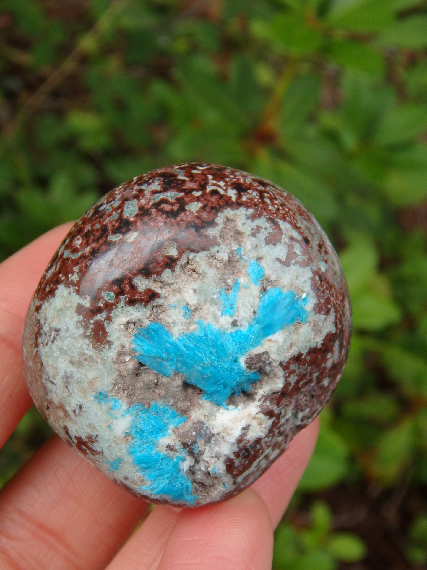  Electric Blue Cavansite in Partially Polished Matrix Palm Stone From India 2