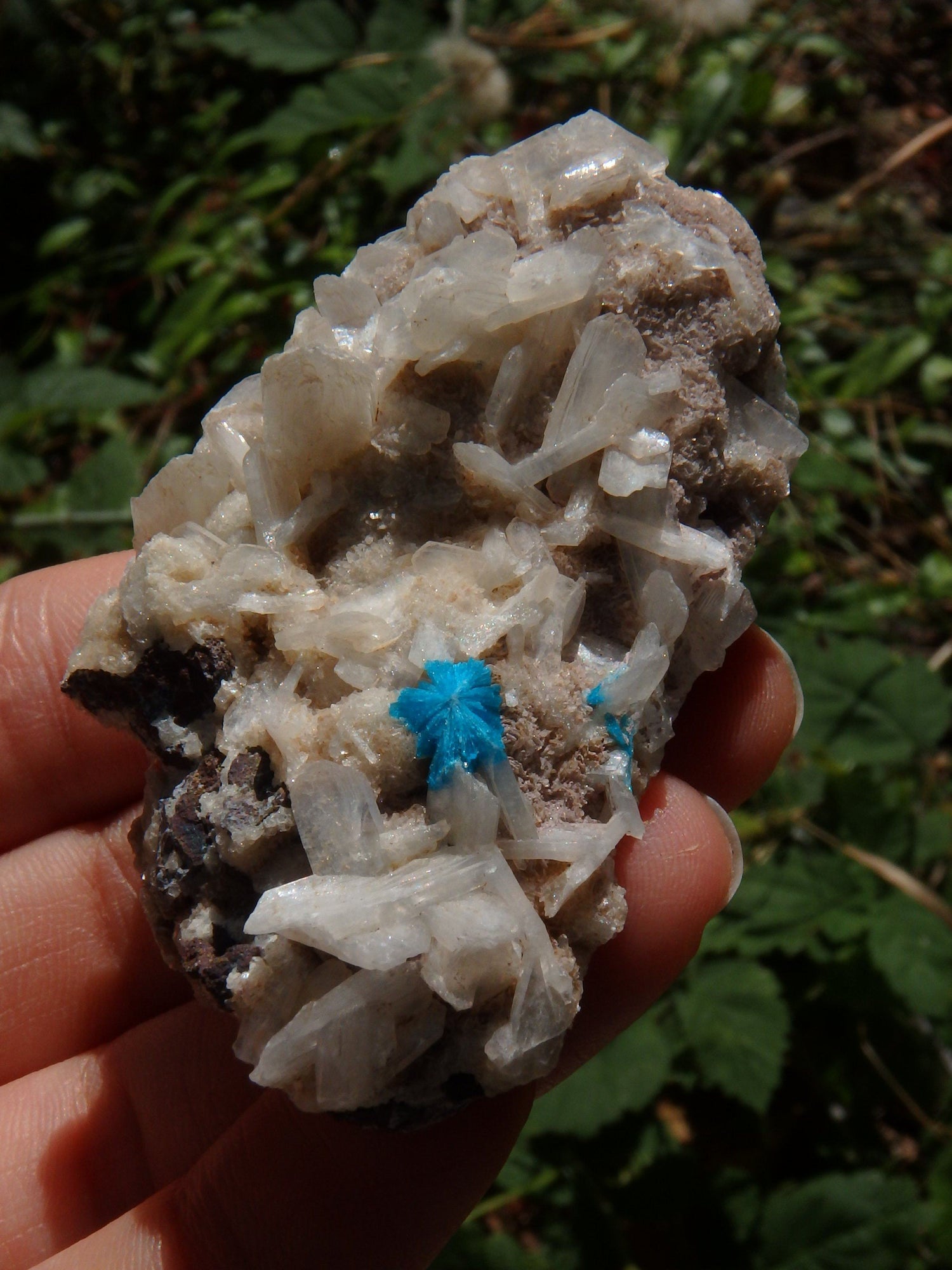  Electric Blue Cavansite on Heulandite Matrix From India1