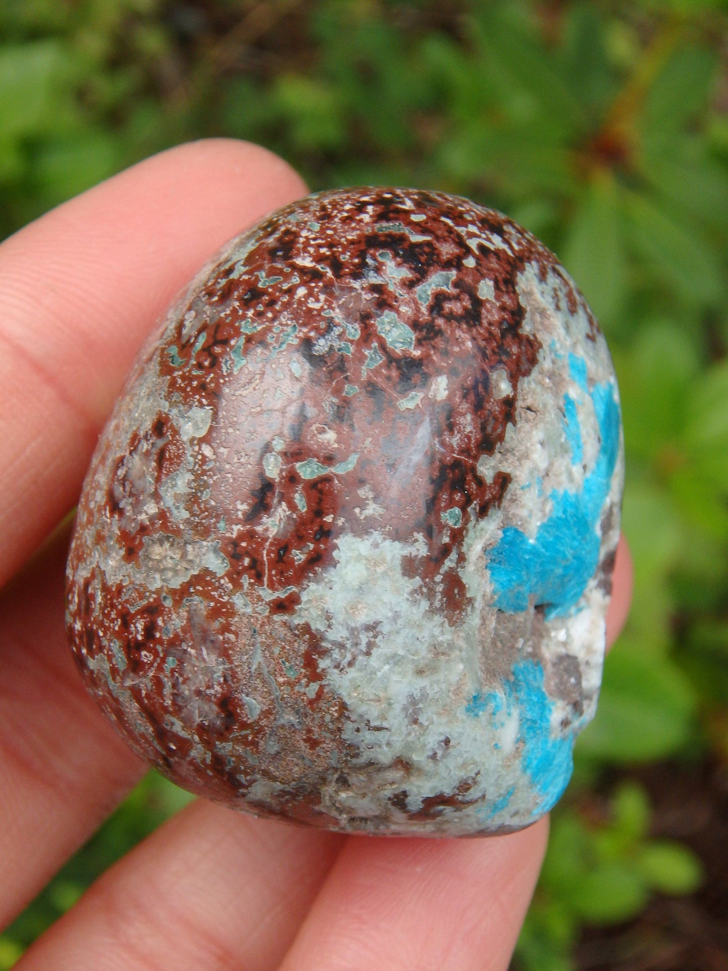  Electric Blue Cavansite in Partially Polished Matrix Palm Stone From India 2