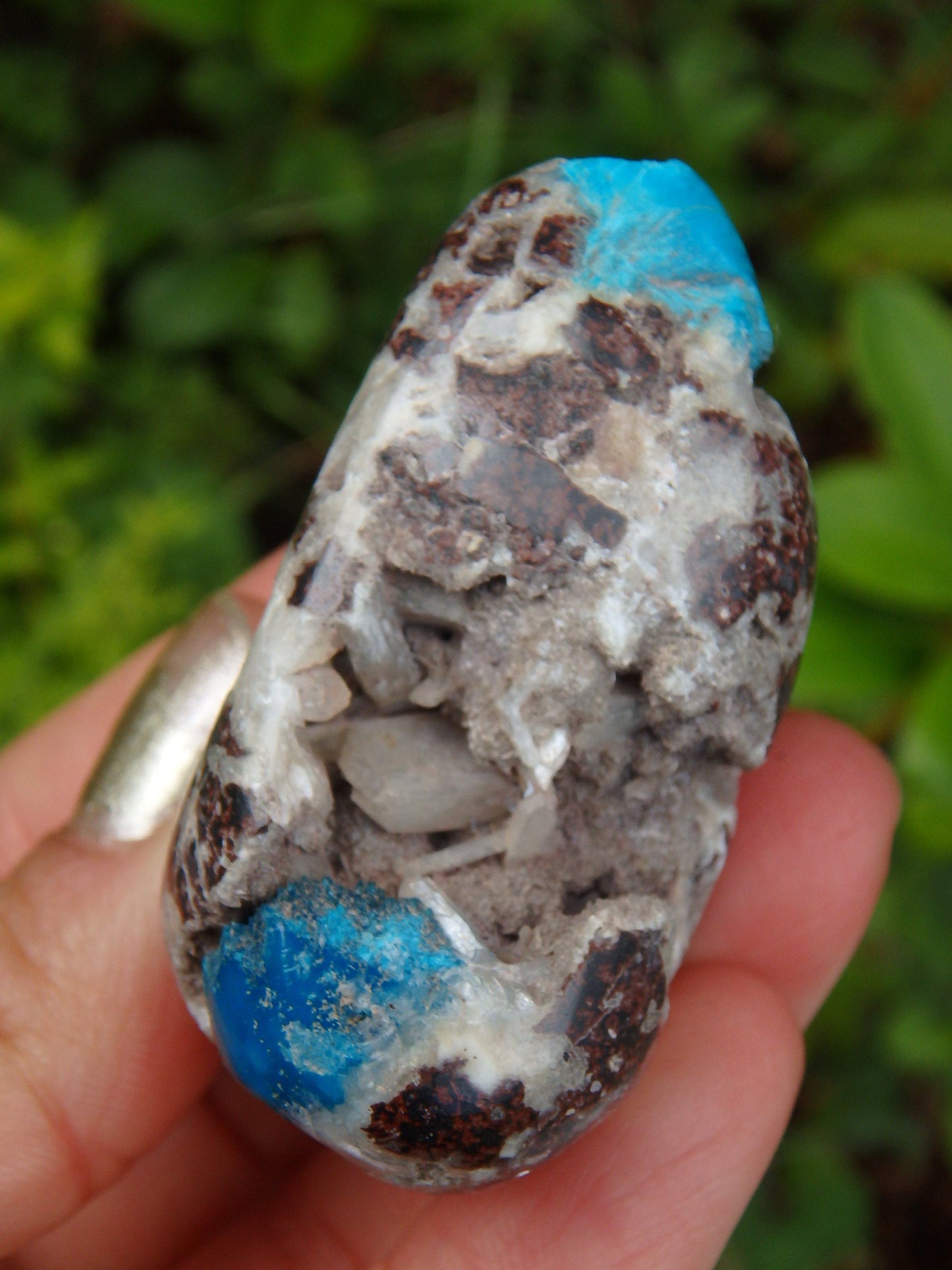  Electric Blue Cavansite in Partially Polished Matrix Palm Stone From India 1
