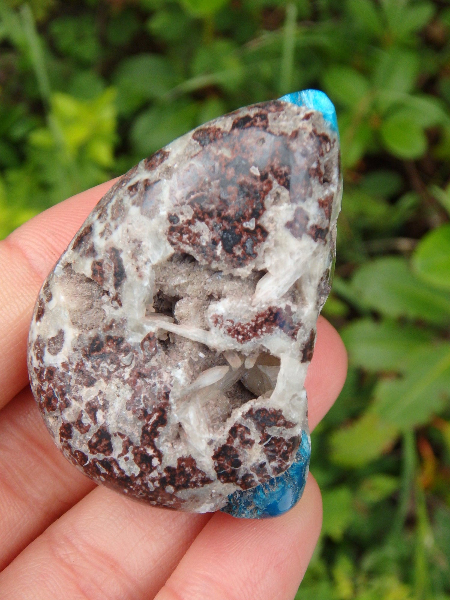  Electric Blue Cavansite in Partially Polished Matrix Palm Stone From India 1