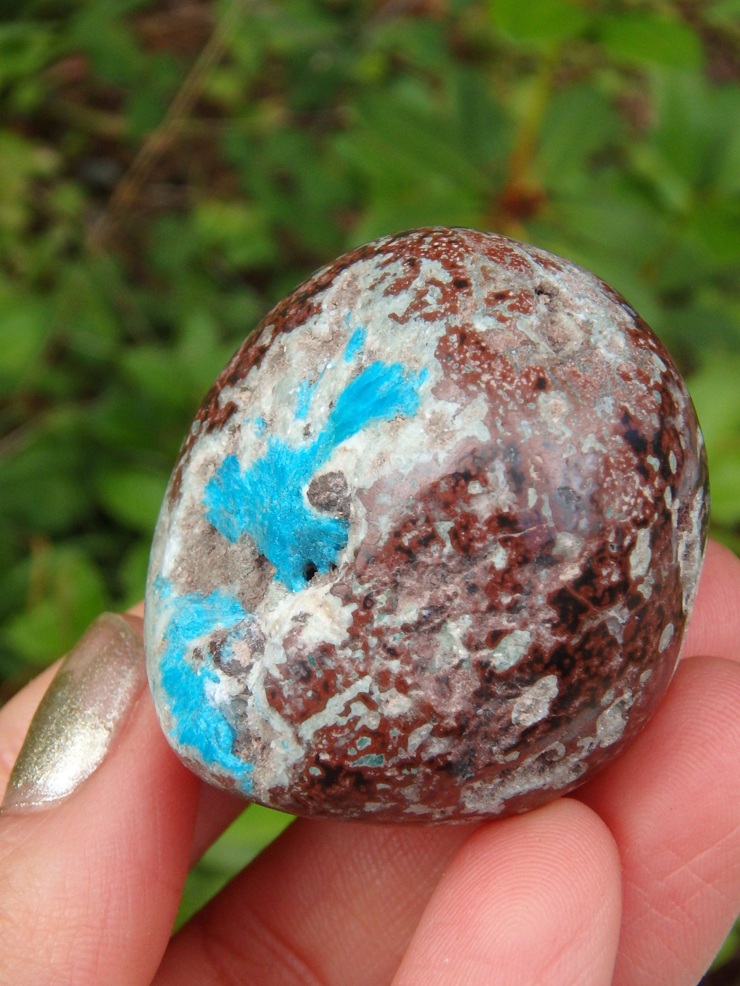  Electric Blue Cavansite in Partially Polished Matrix Palm Stone From India 2
