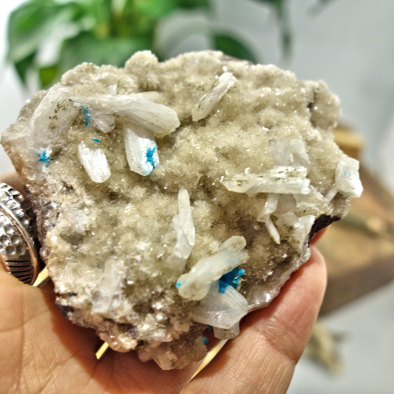  Electric Blue Cavansite Flowers Nestled on Shimmering Heulandite Matrix From India