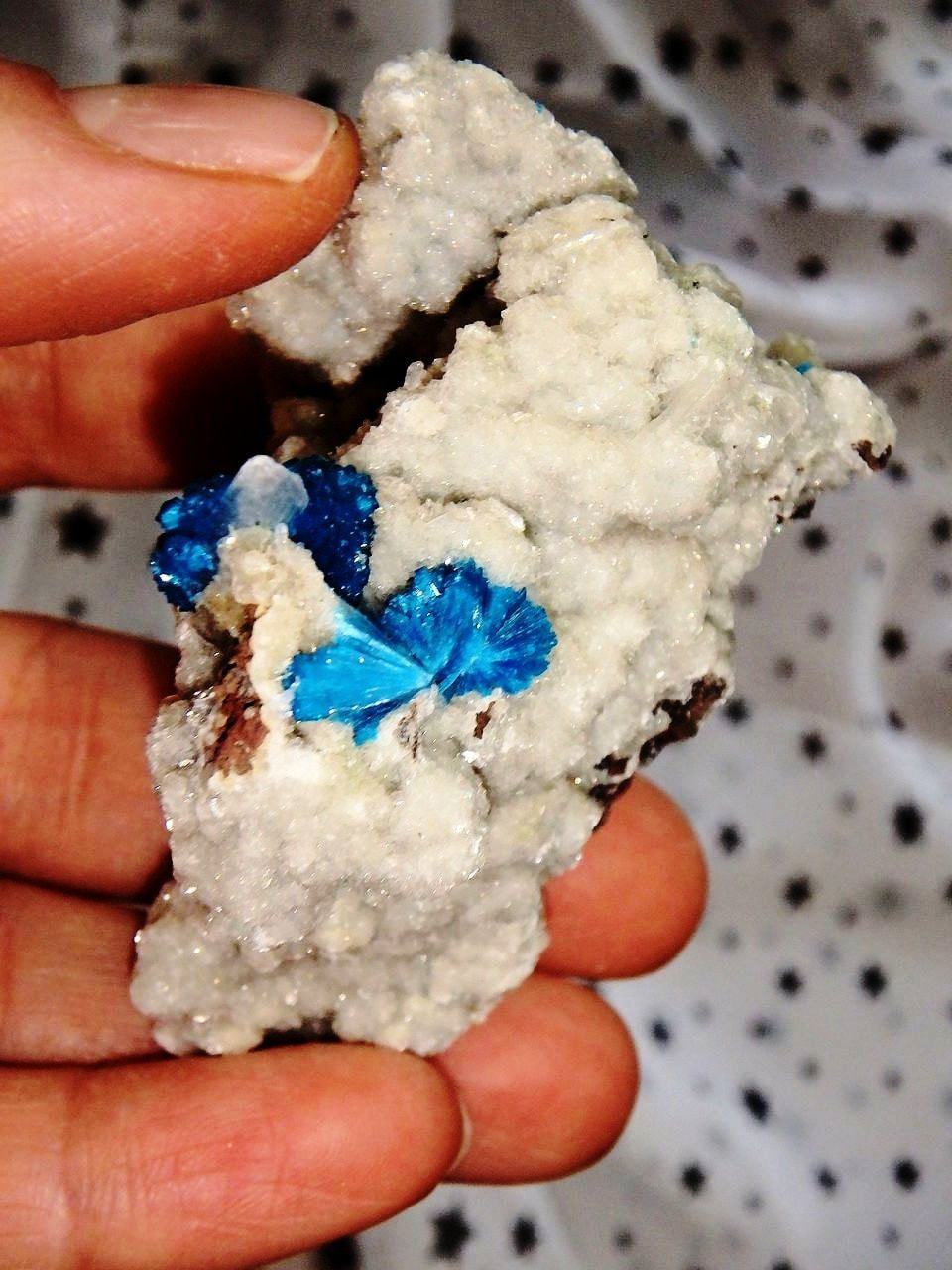  Amazing Electric Blue Cavansite Clusters on Sparkly Druzy Matrix From India