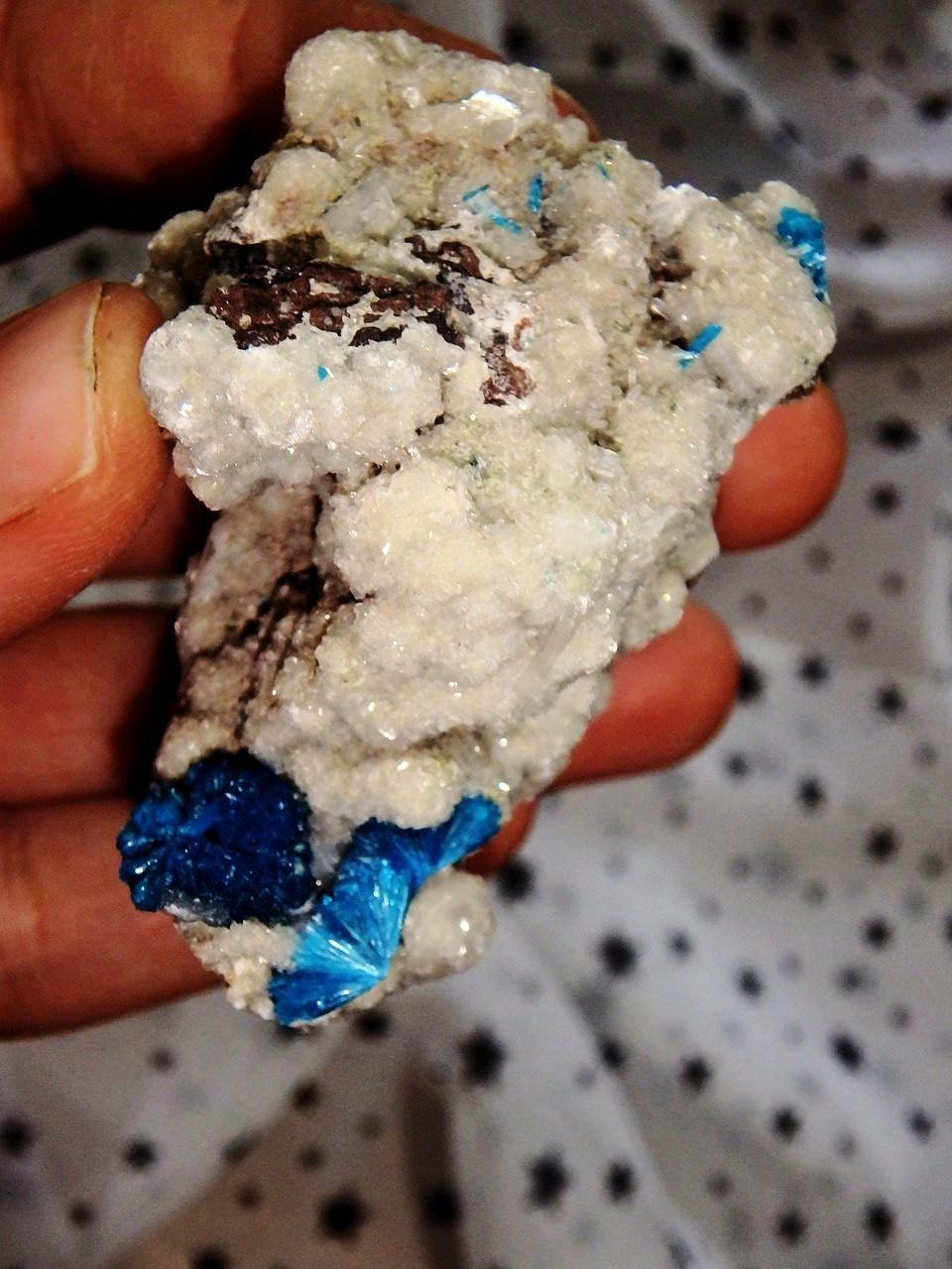  Amazing Electric Blue Cavansite Clusters on Sparkly Druzy Matrix From India