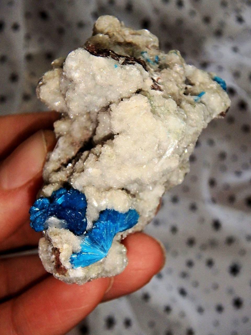  Amazing Electric Blue Cavansite Clusters on Sparkly Druzy Matrix From India