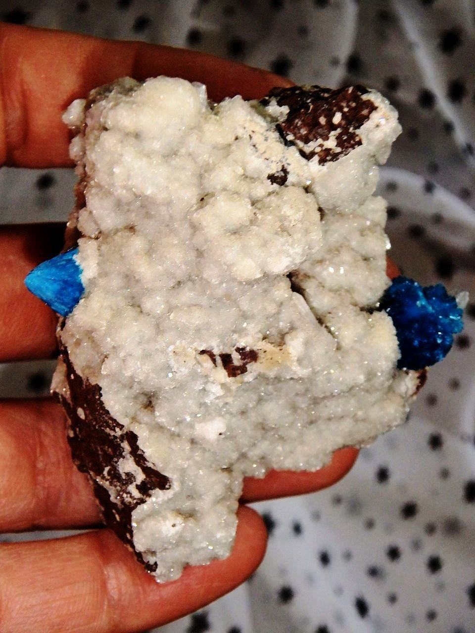  Amazing Electric Blue Cavansite Clusters on Sparkly Druzy Matrix From India