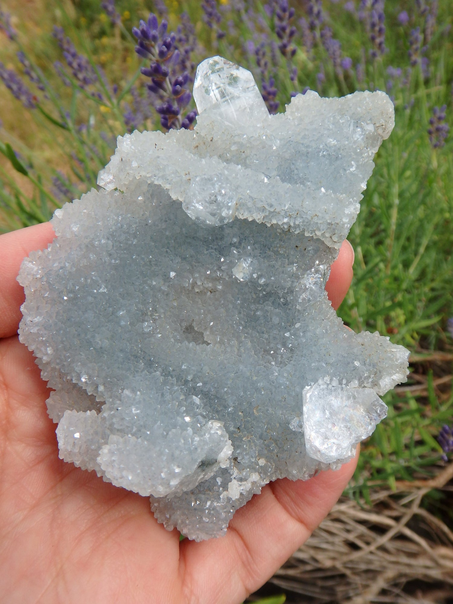 Incredible Sparkle Chalcedony With Clear Apophyllite Point Inclusions - Metiz Tier Price