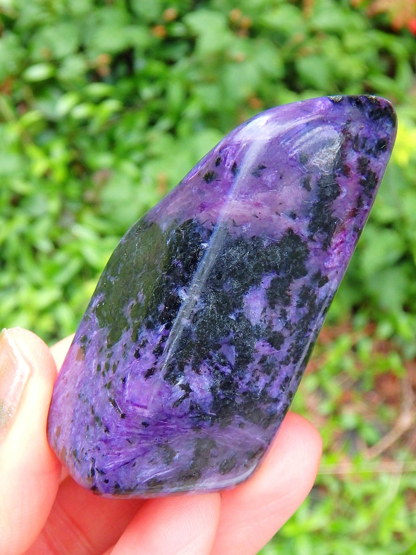  Deep Purple Charoite Free Form Specimen 1