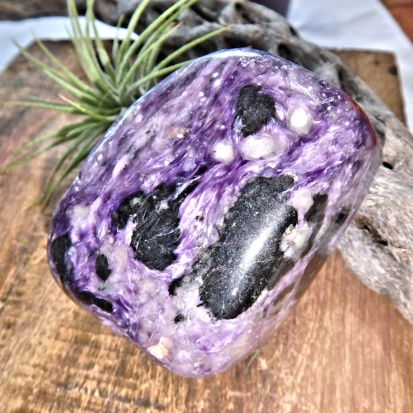  Divine Silky Deep Grape Purple Large Charoite Free Form Specimen1