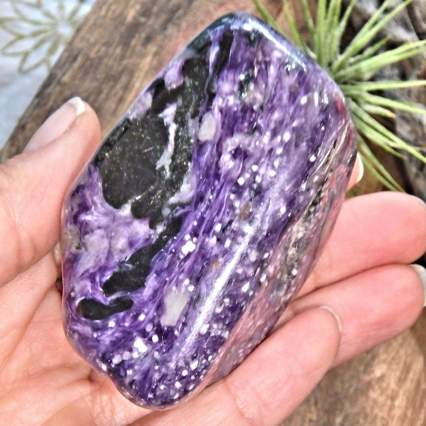  Divine Silky Deep Grape Purple Large Charoite Free Form Specimen1