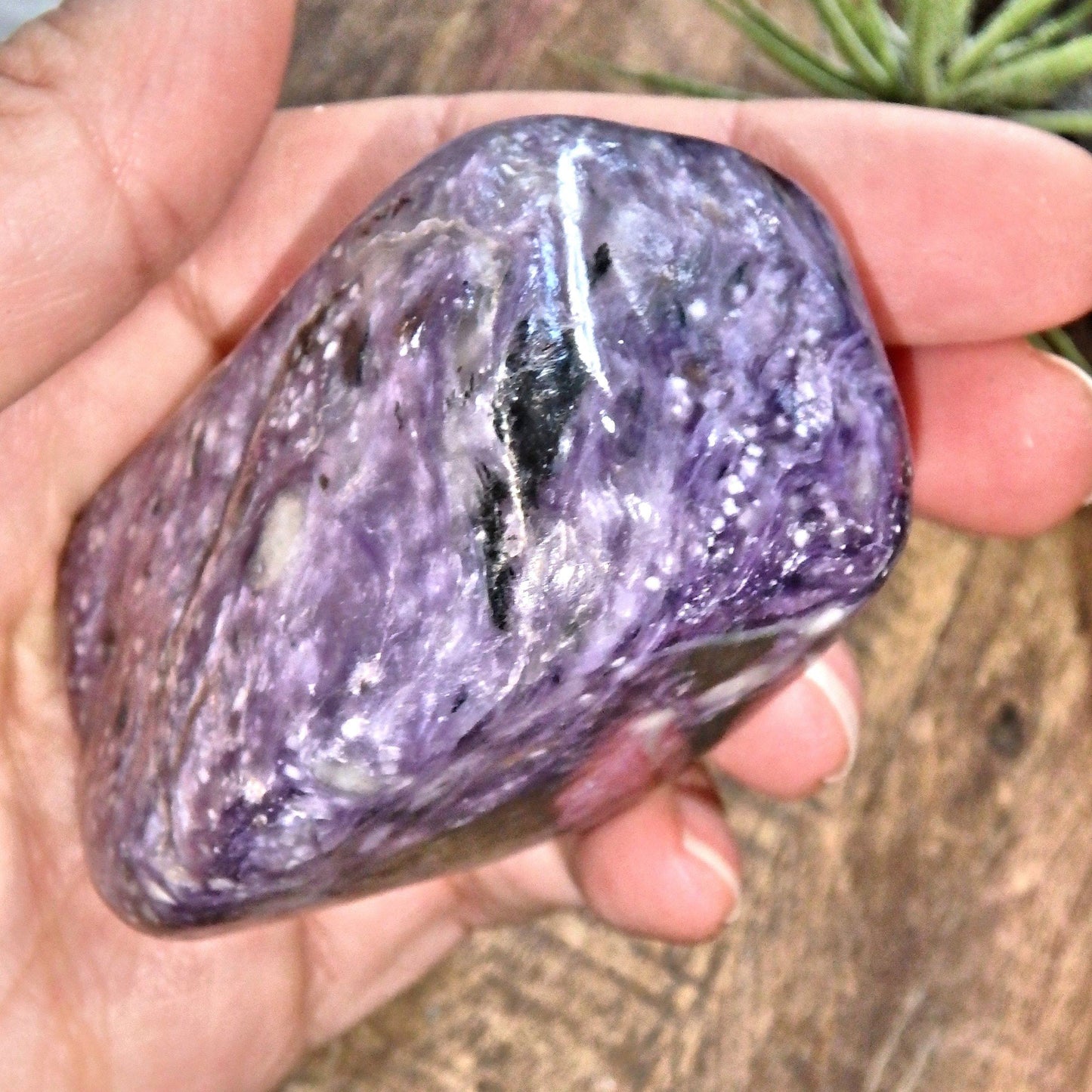  Divine Silky Deep Grape Purple Large Charoite Free Form Specimen1