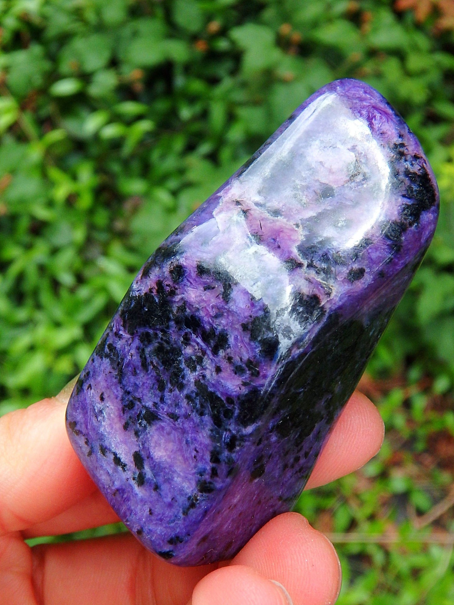  Deep Purple Charoite Free Form Specimen 1