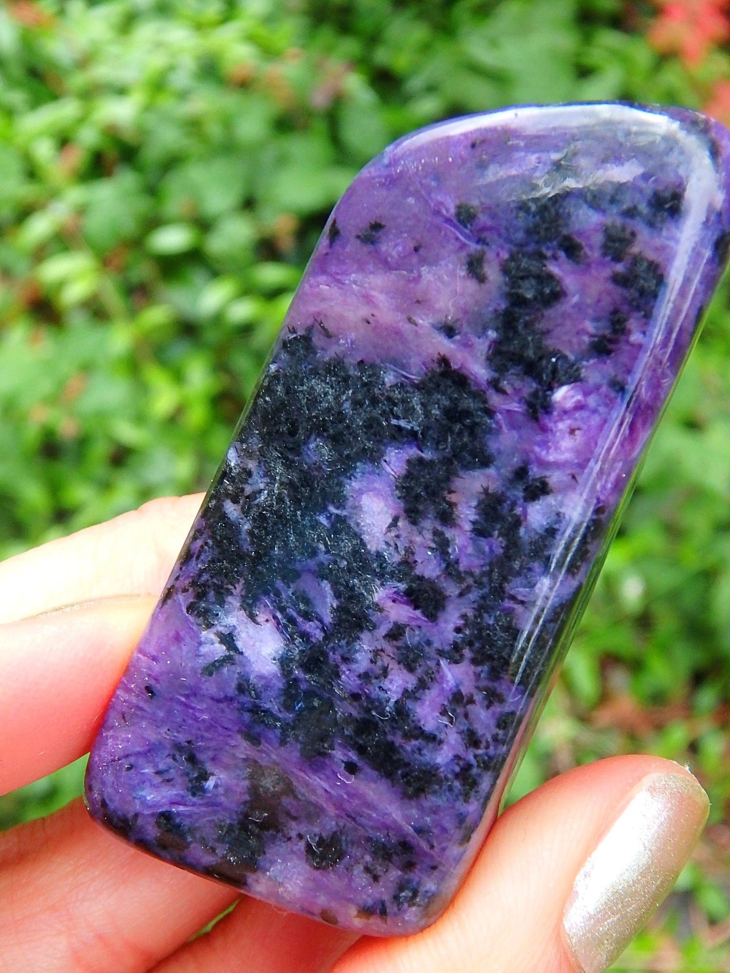  Deep Purple Charoite Free Form Specimen 1