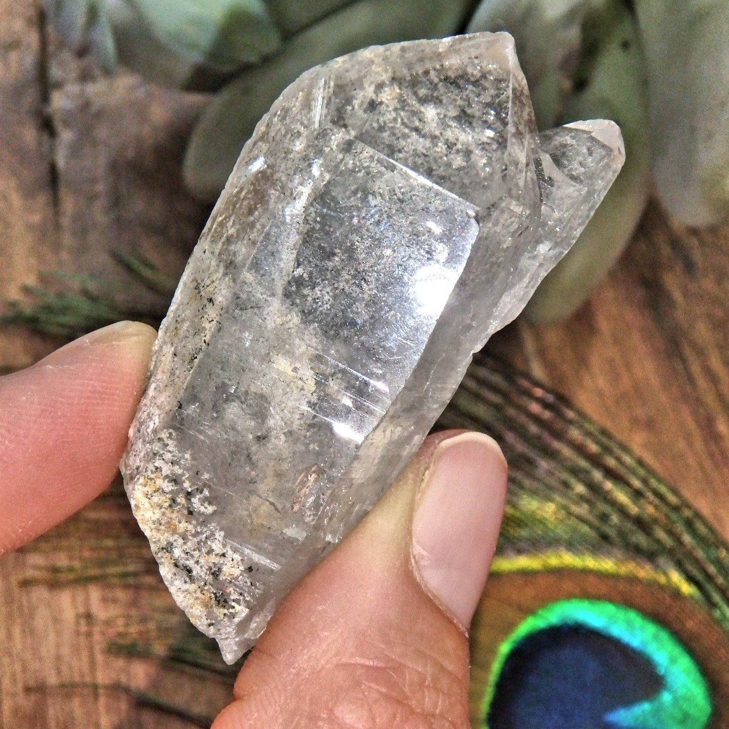  Brilliant Sheen Chlorite Included Mother & Babe Quartz Point Unpolished From Brazil