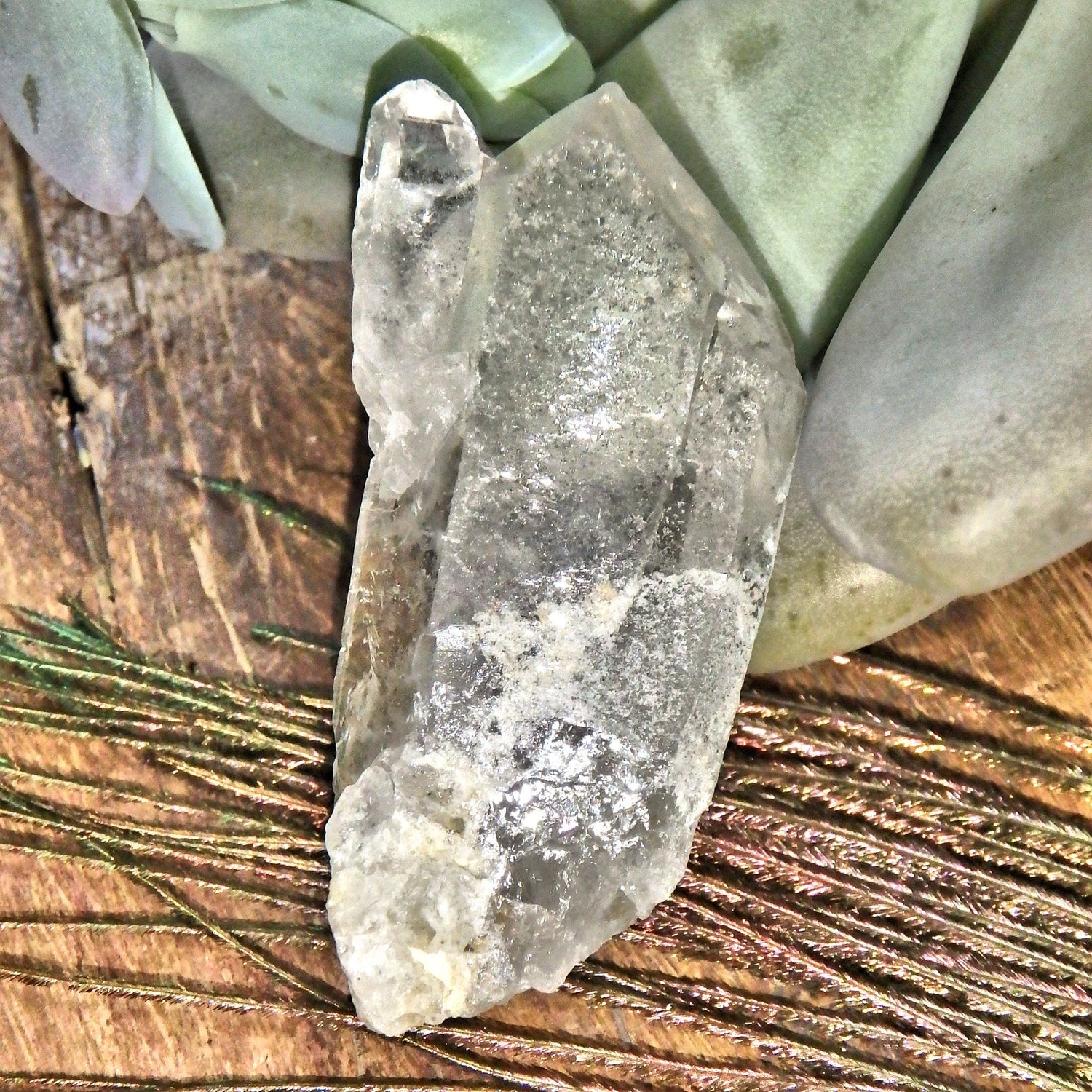  Brilliant Sheen Chlorite Included Mother & Babe Quartz Point Unpolished From Brazil