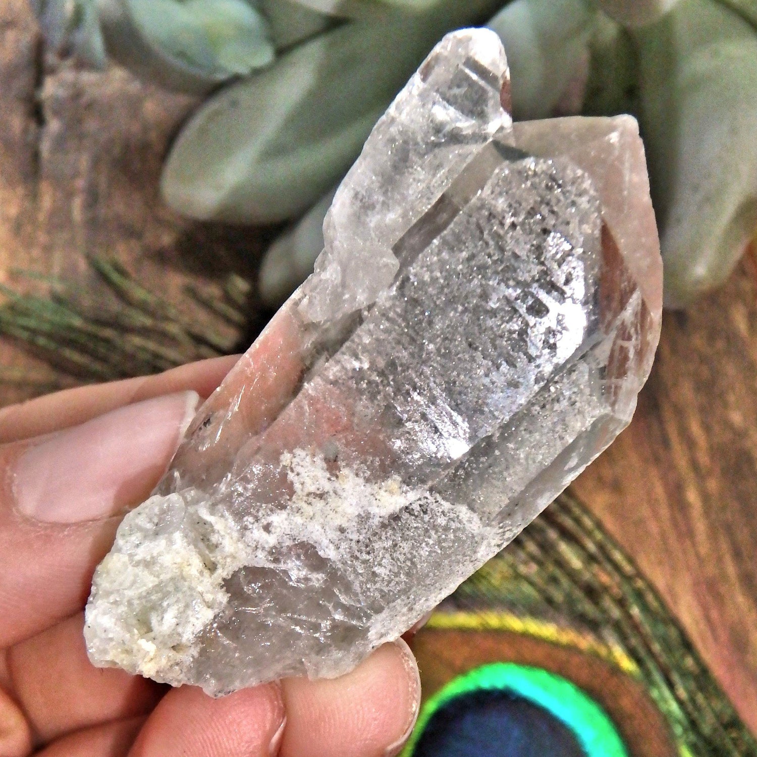  Brilliant Sheen Chlorite Included Mother & Babe Quartz Point Unpolished From Brazil
