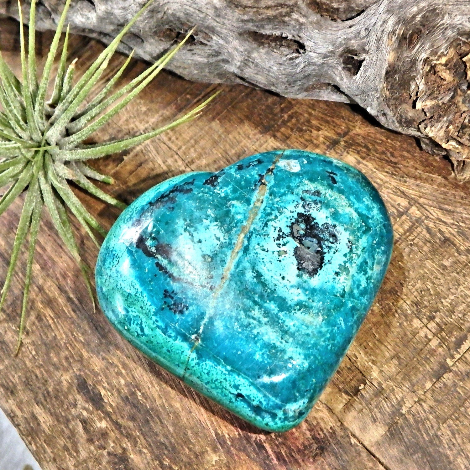  Delightful Green & Blue Chrysocolla Love Heart Carving 1