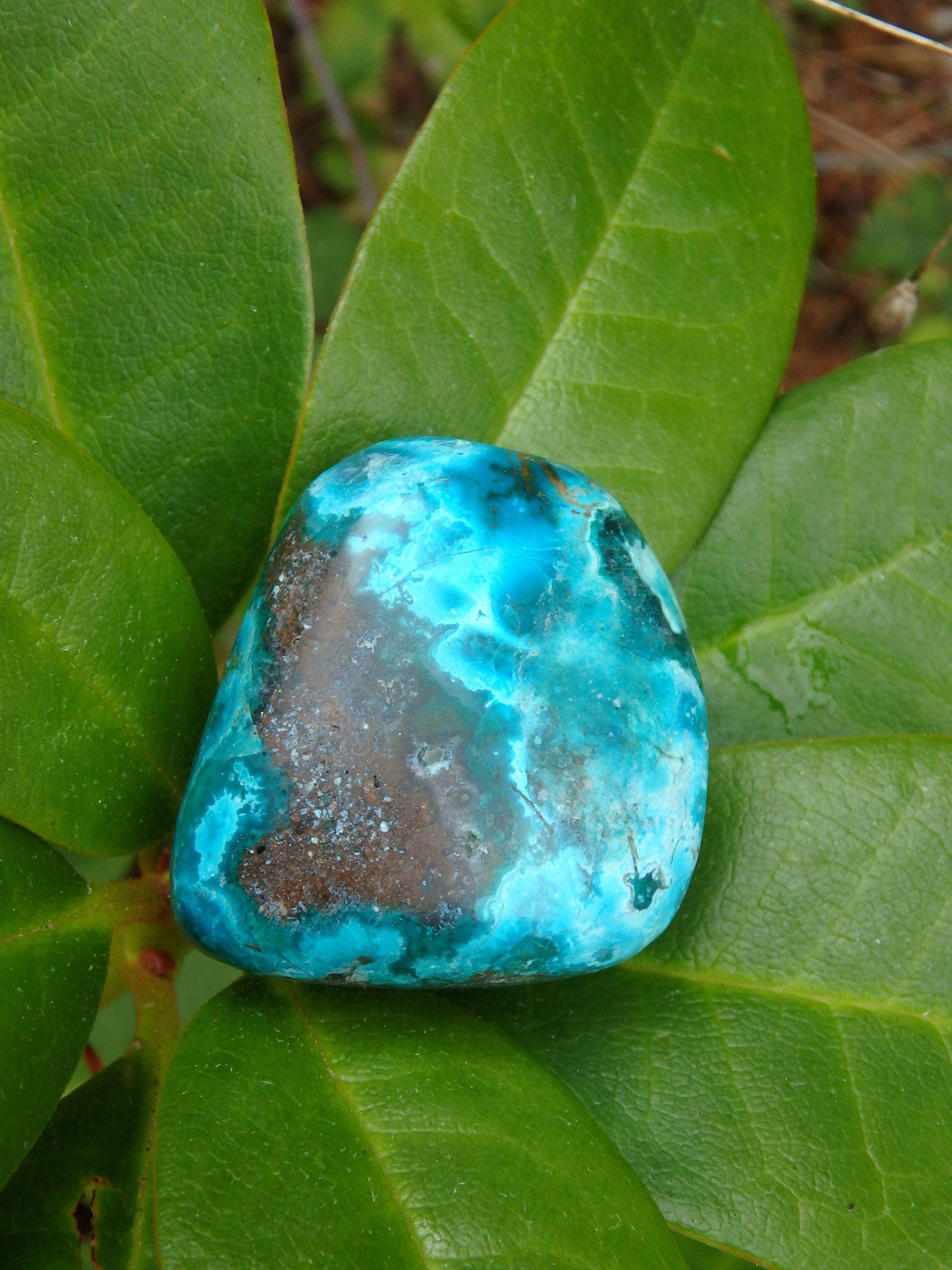  Beautiful Robin Egg Blue Chrysocolla Palm Stone From Peru