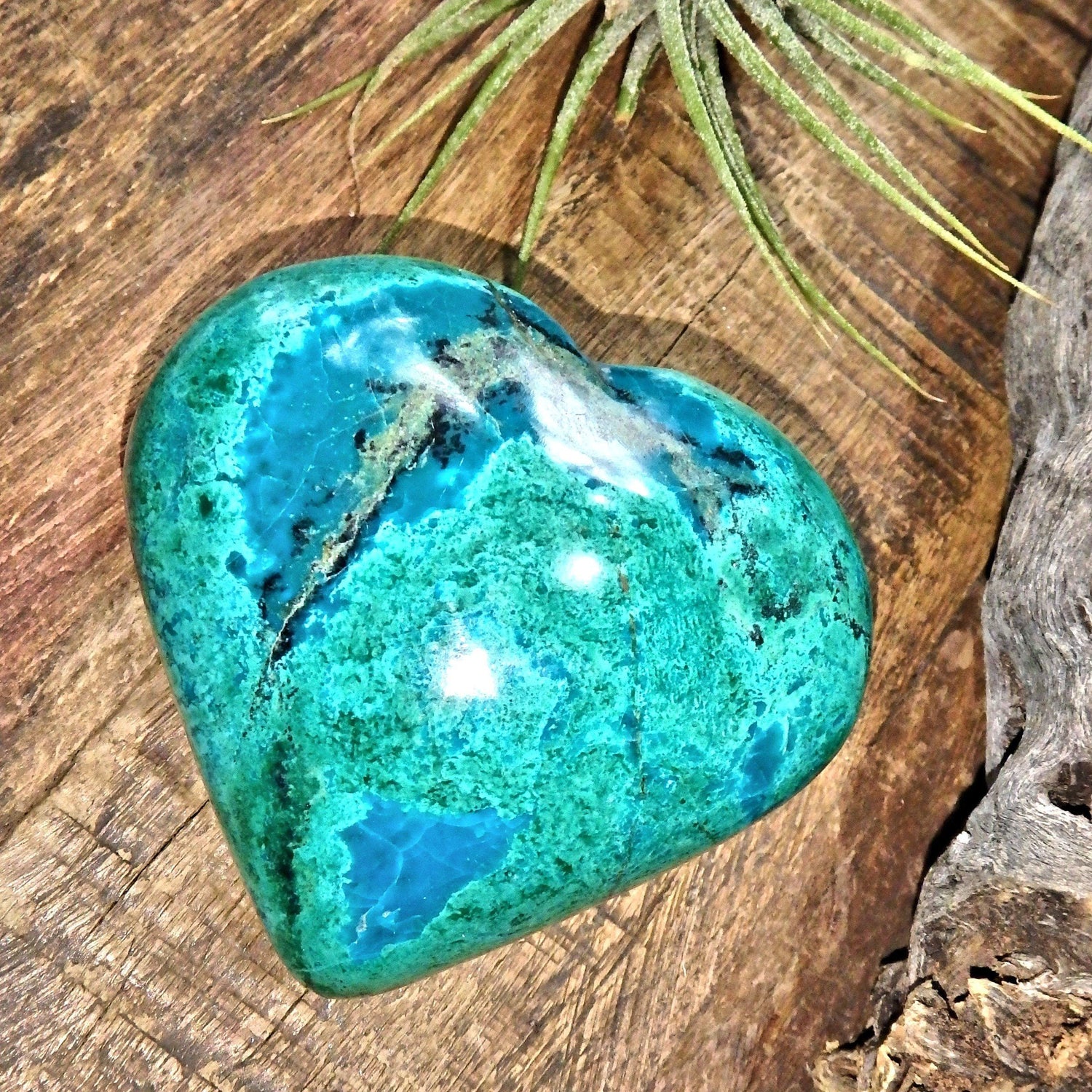  Delightful Green & Blue Chrysocolla Love Heart Carving 1