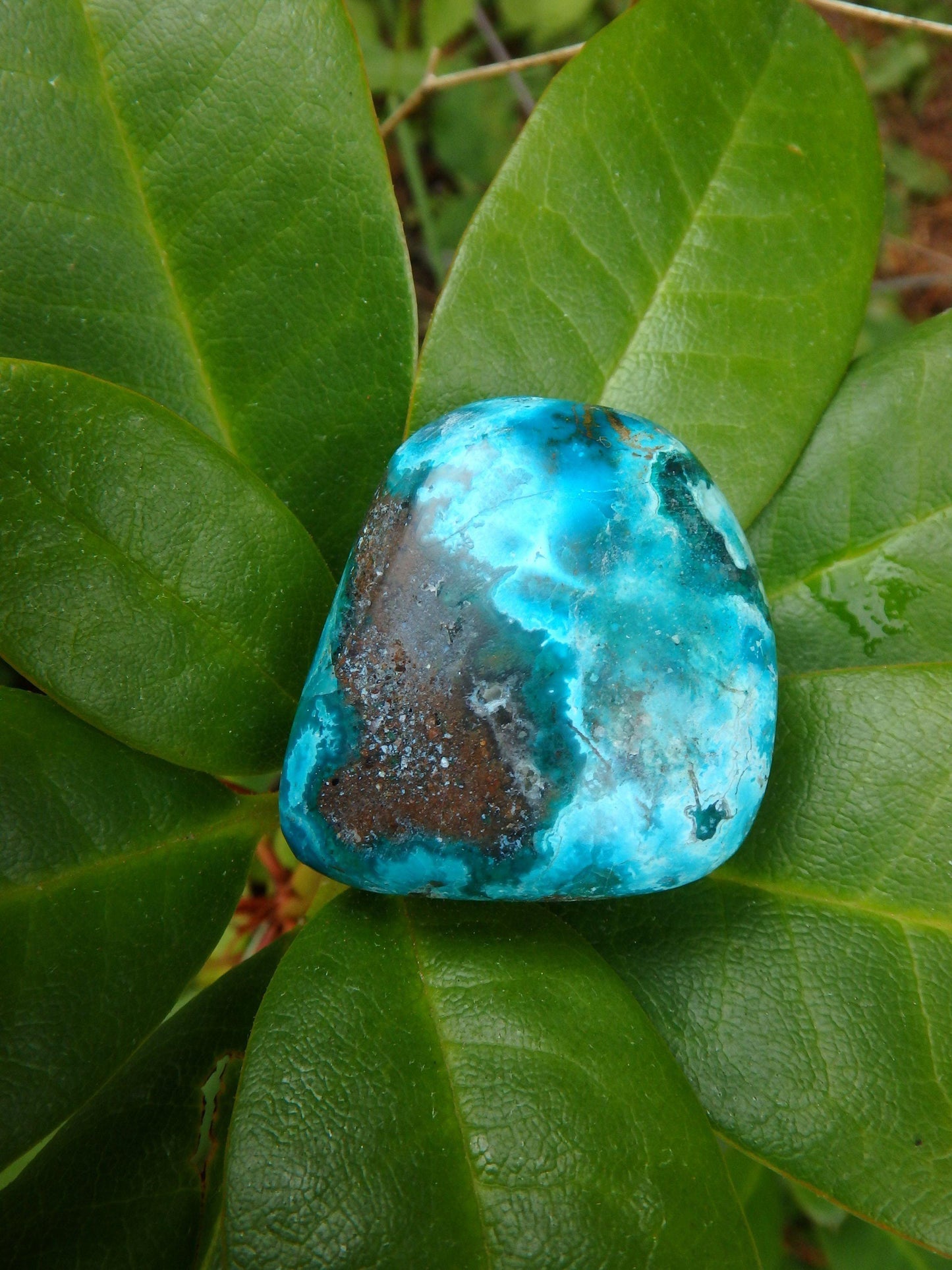  Beautiful Robin Egg Blue Chrysocolla Palm Stone From Peru