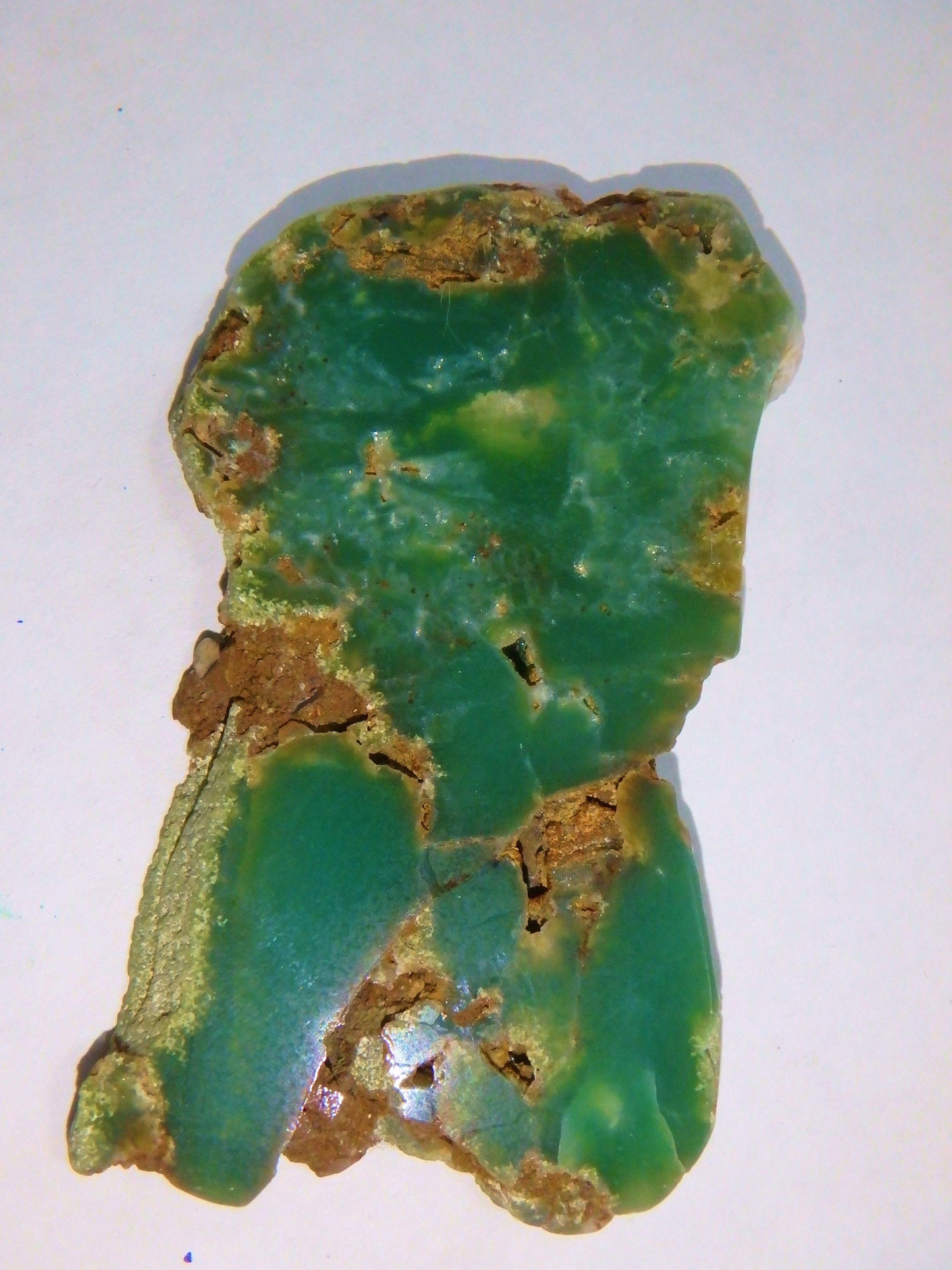  Australian Deep Green Chrysoprase Free Form Partially Polished Slice