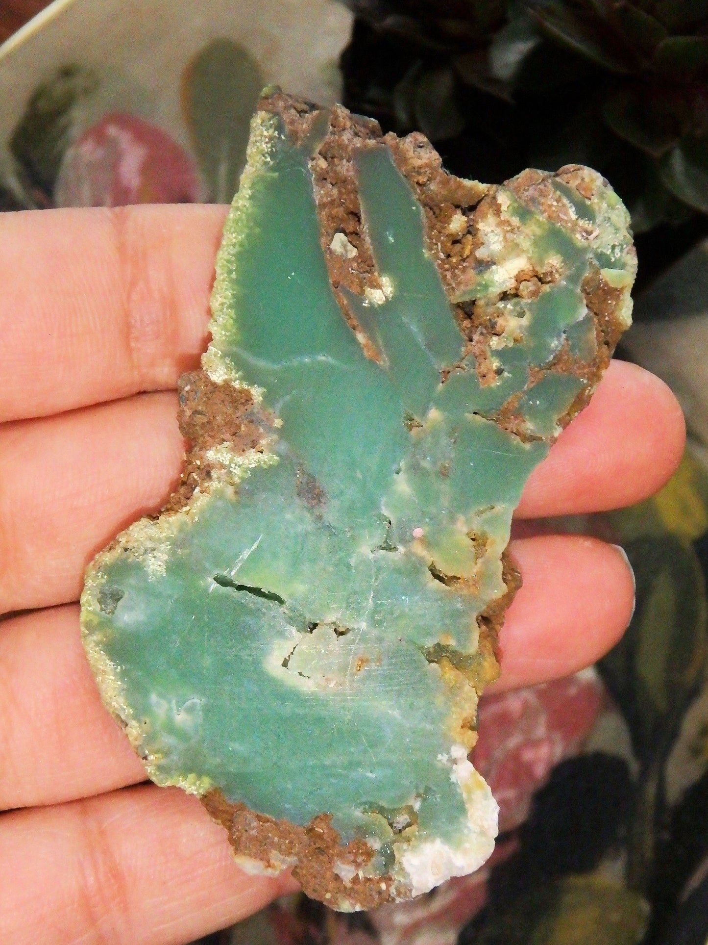  Australian Deep Green Chrysoprase Free Form Partially Polished Slice