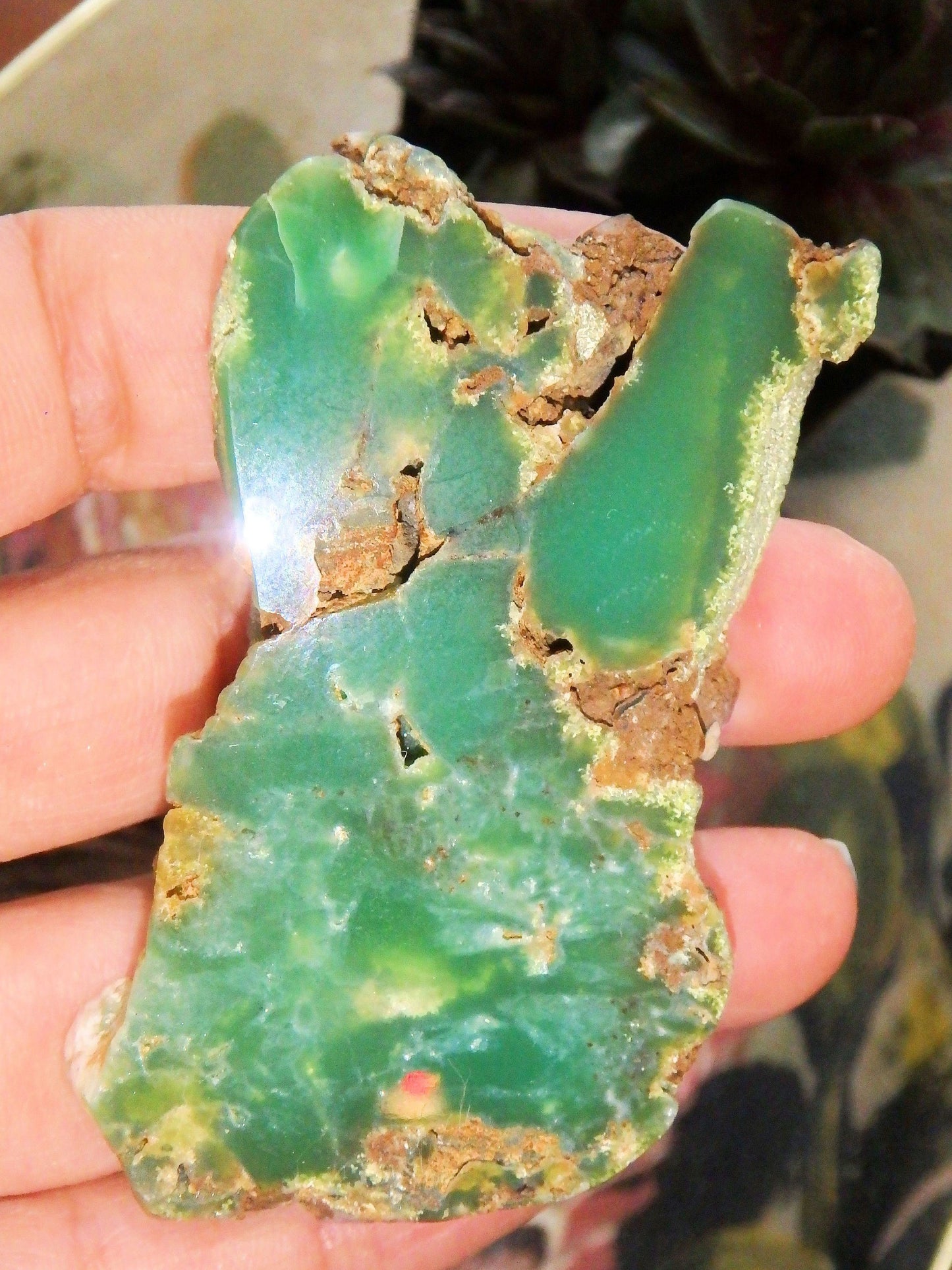 Australian Deep Green Chrysoprase Free Form Partially Polished Slice