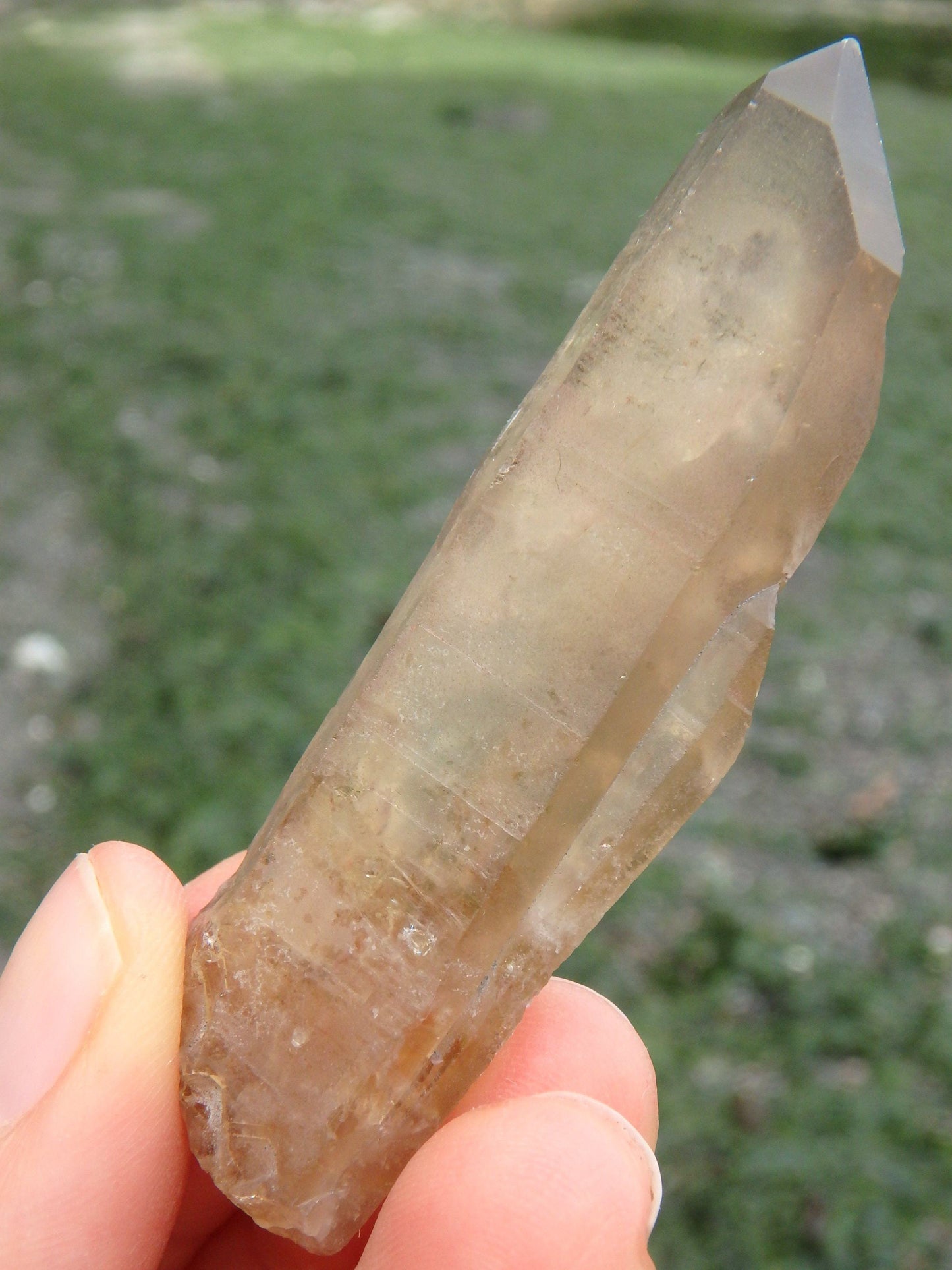  Completely Natural Citrine Point Specimen