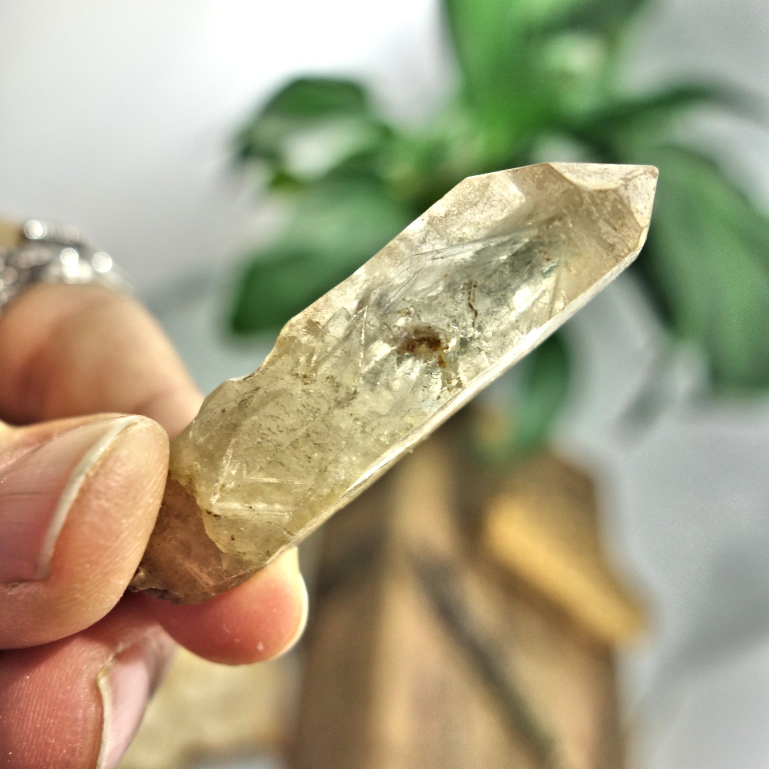Natural Dainty Citrine Point from The Congo - Earth Family Crystals