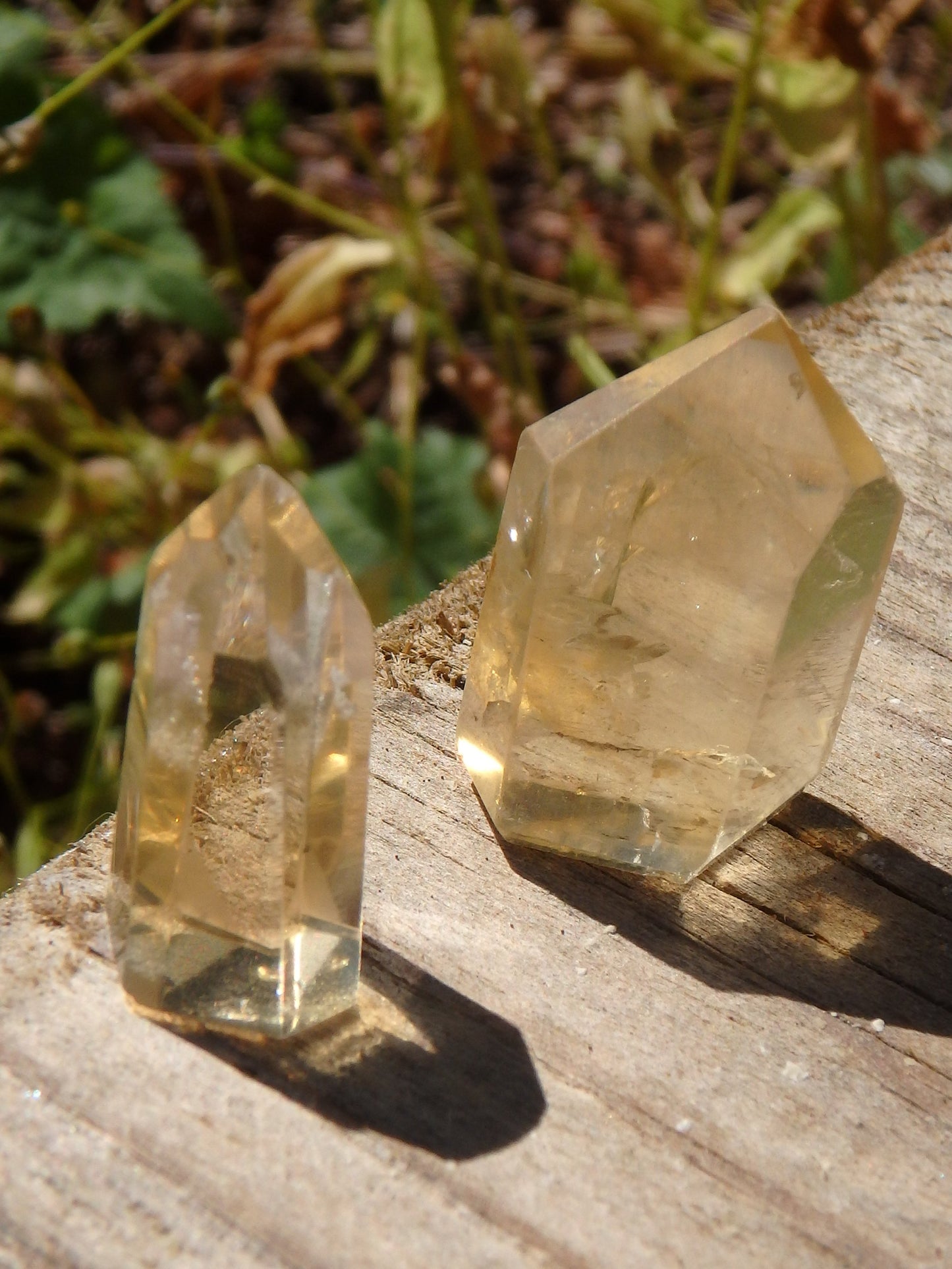 Set of 2~Gorgeous Natural Citrine Mini Polished Standing Generators - Metiz Tier Price