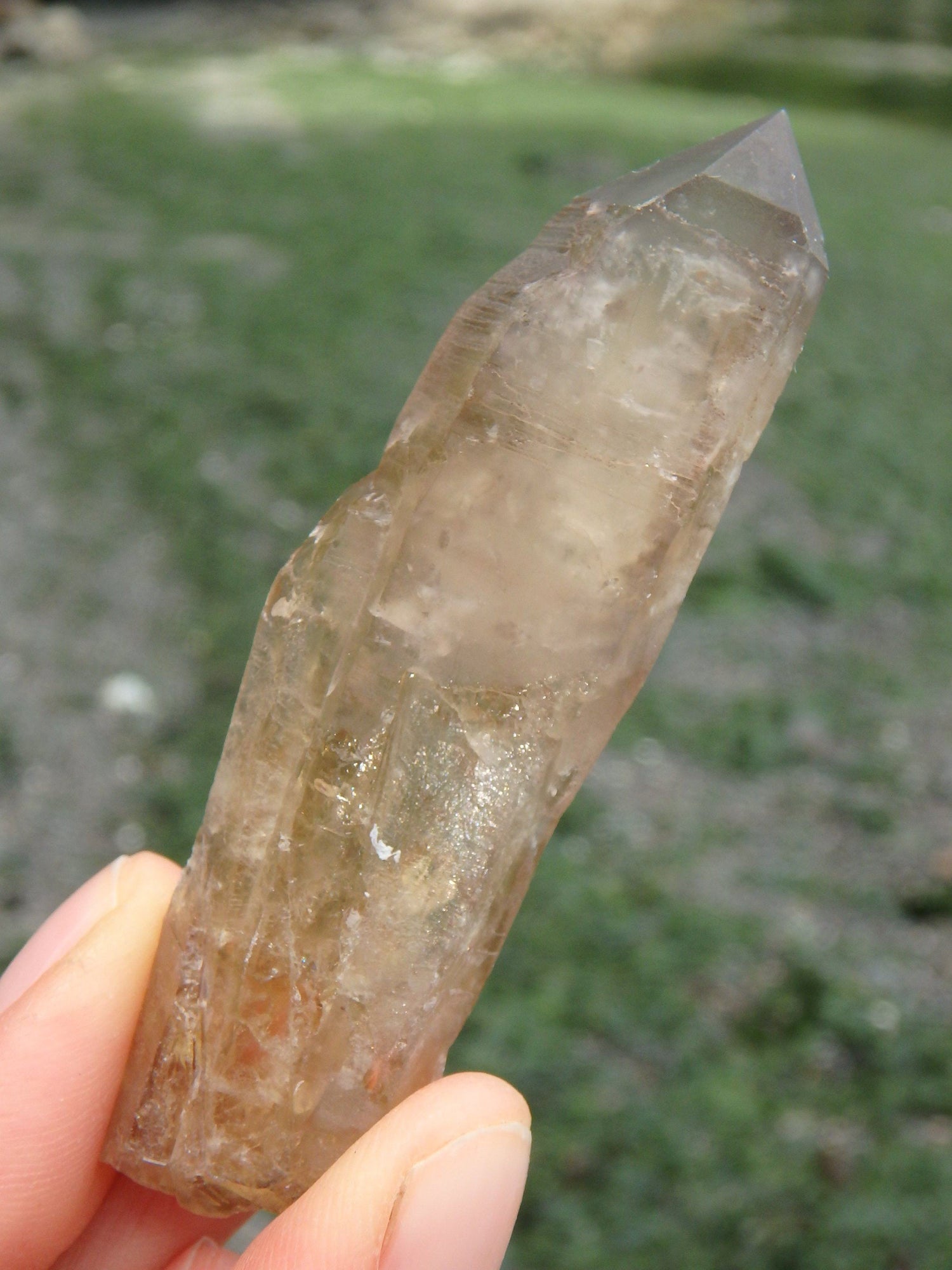  Completely Natural Citrine Point Specimen