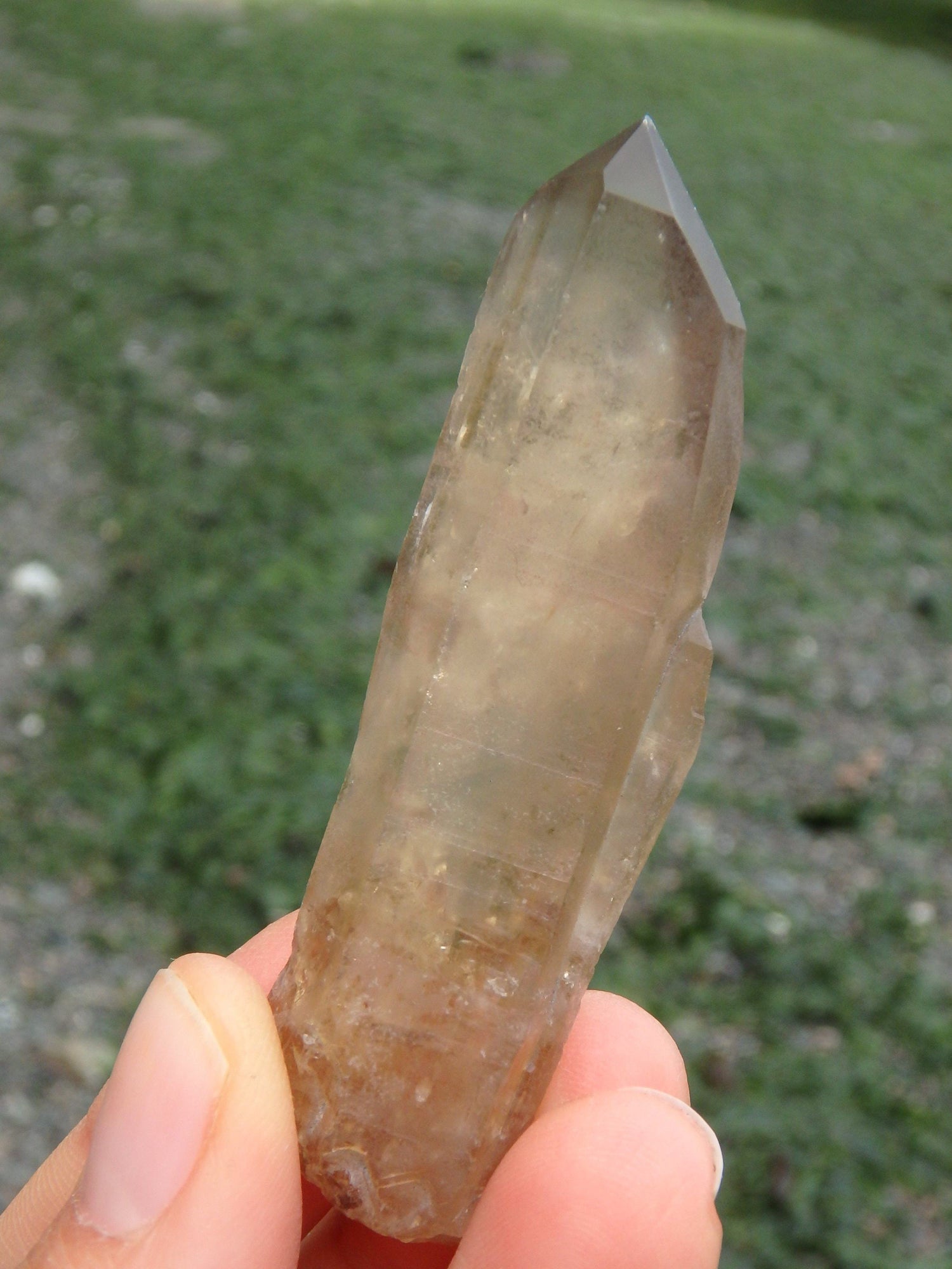  Completely Natural Citrine Point Specimen