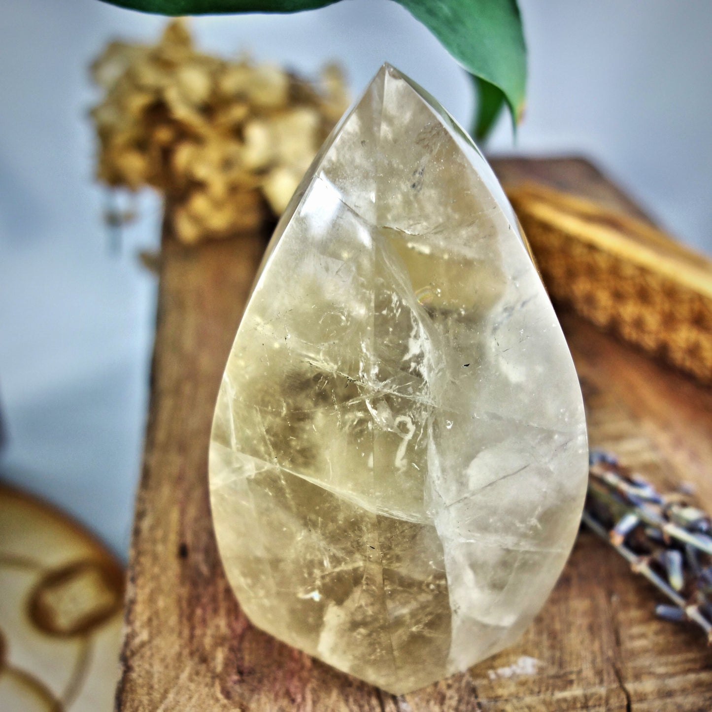Optical Brilliance Natural Citrine Flame Carving From Brazil 1