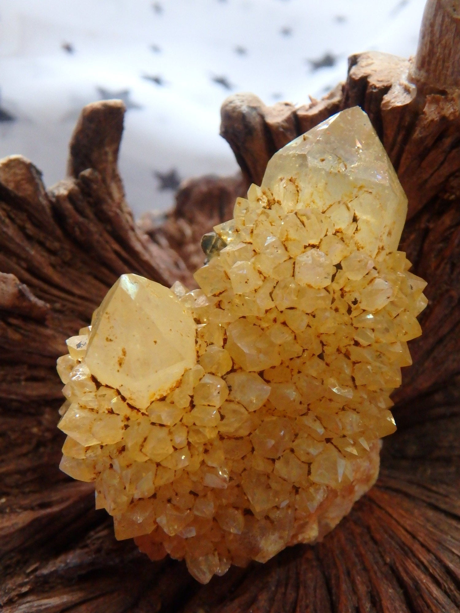  Cute Natural Golden Sparkle Citrine Spirit Quartz Cluster From South Africa