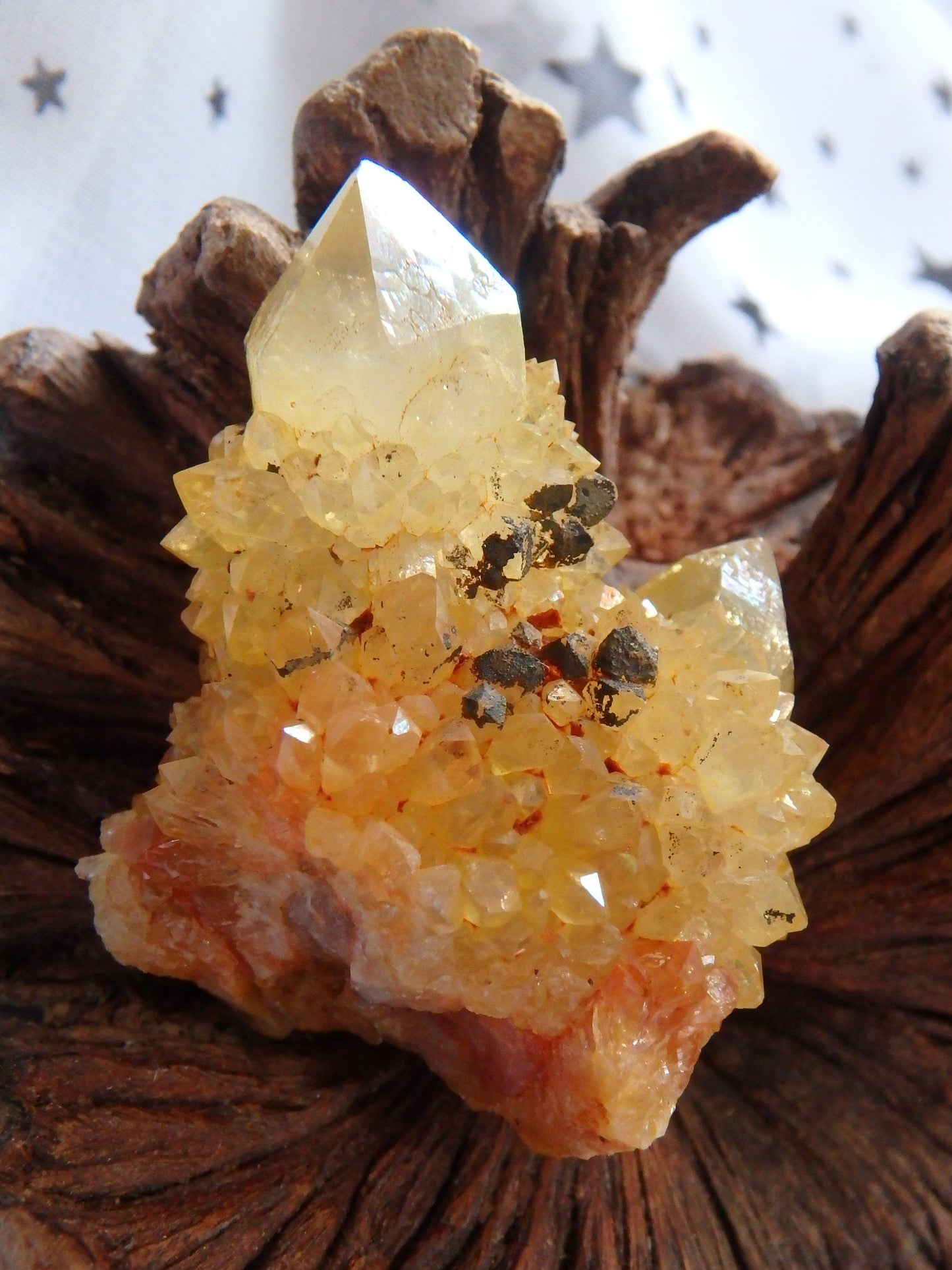  Cute Natural Golden Sparkle Citrine Spirit Quartz Cluster From South Africa