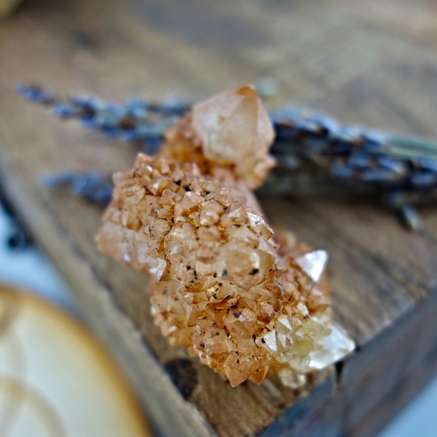 Natural Citrine Spirit Quartz Cluster From South Africa - Earth Family Crystals