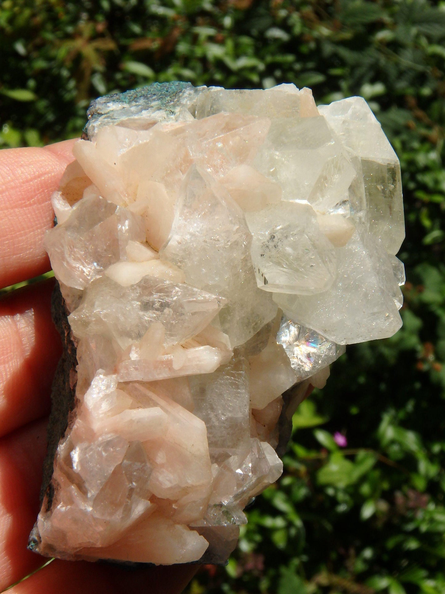  Brilliant Green & Clear Apophyllite Points Nestled With Pink Stilbite on Matrix From India