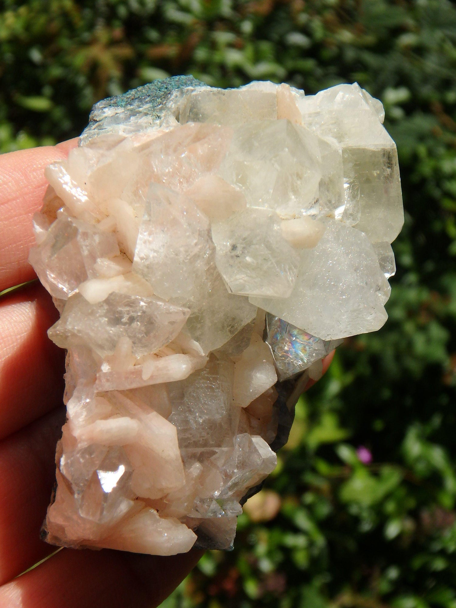  Brilliant Green & Clear Apophyllite Points Nestled With Pink Stilbite on Matrix From India