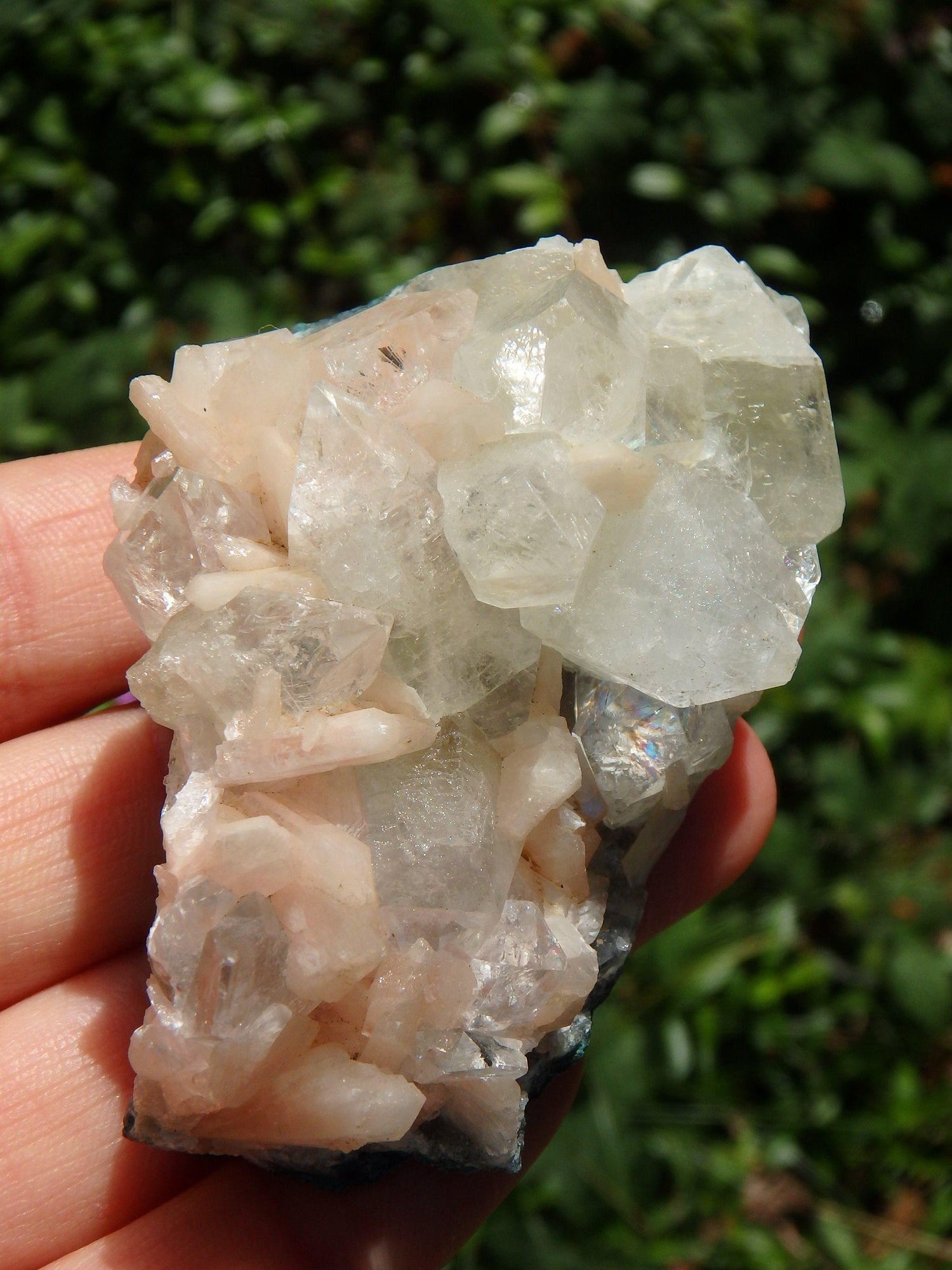  Brilliant Green & Clear Apophyllite Points Nestled With Pink Stilbite on Matrix From India
