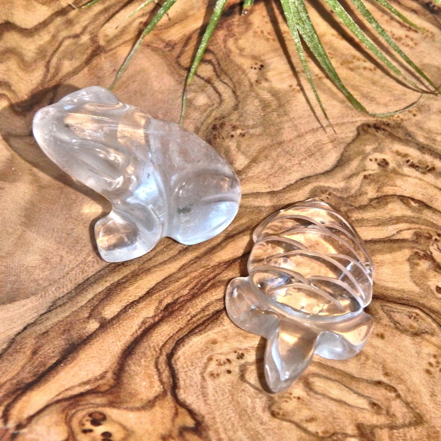 Joyful Clear Quartz Turtle & Frog Carving Set - Earth Family Crystals