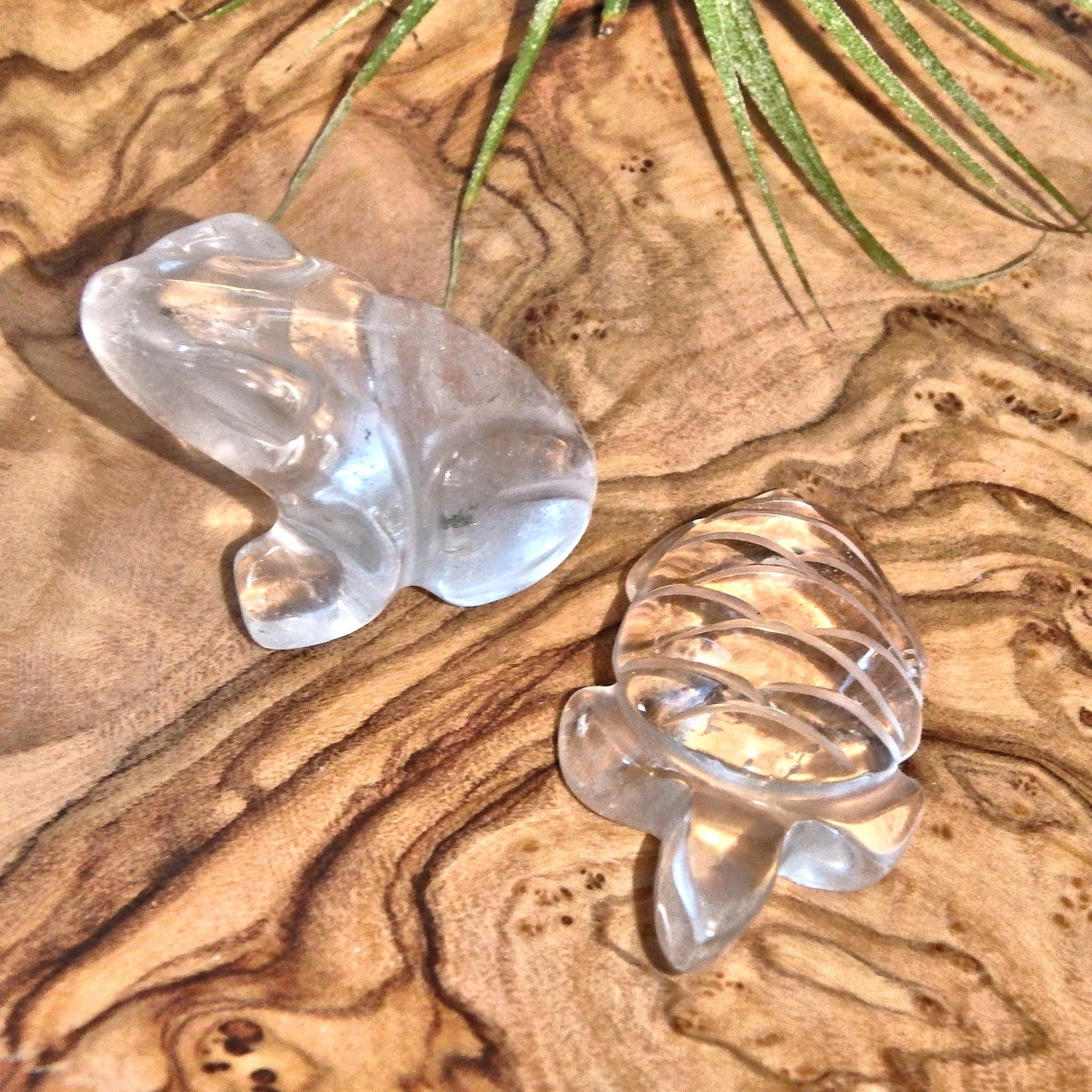 Joyful Clear Quartz Turtle & Frog Carving Set - Earth Family Crystals