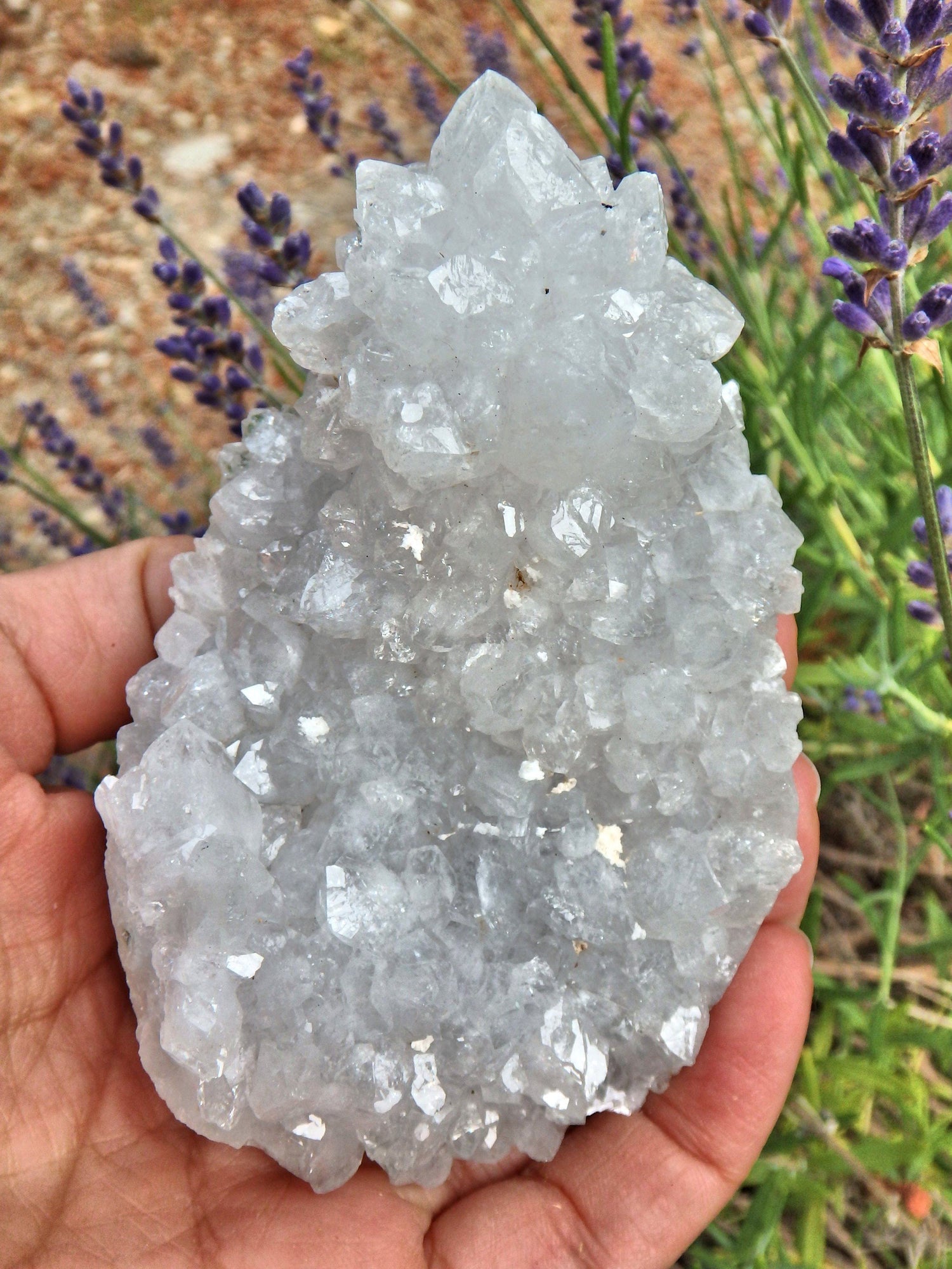  Brilliant Sparkle Clear Quartz Stalactite Cluster From India