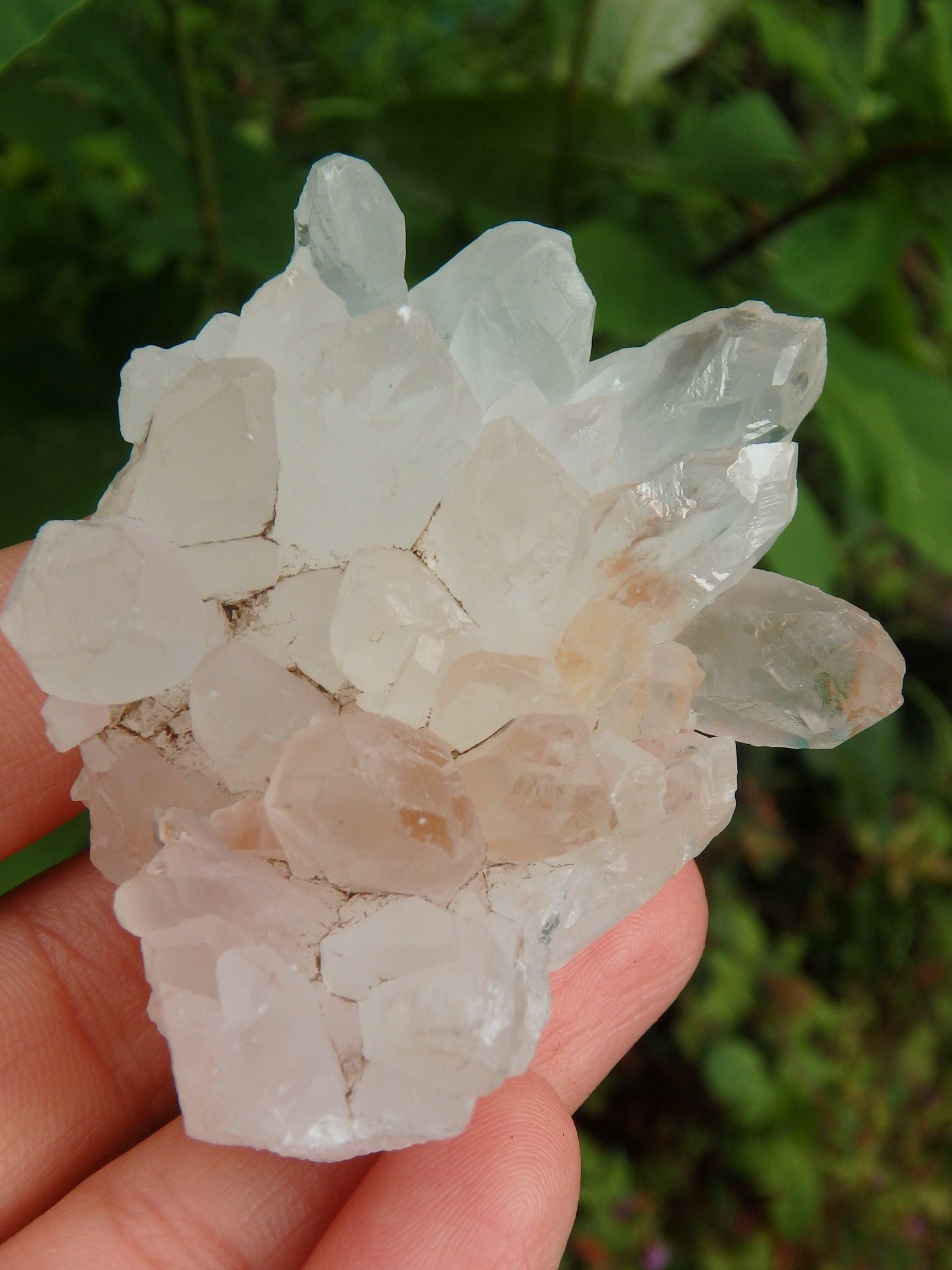  Clear Quartz Cluster From India