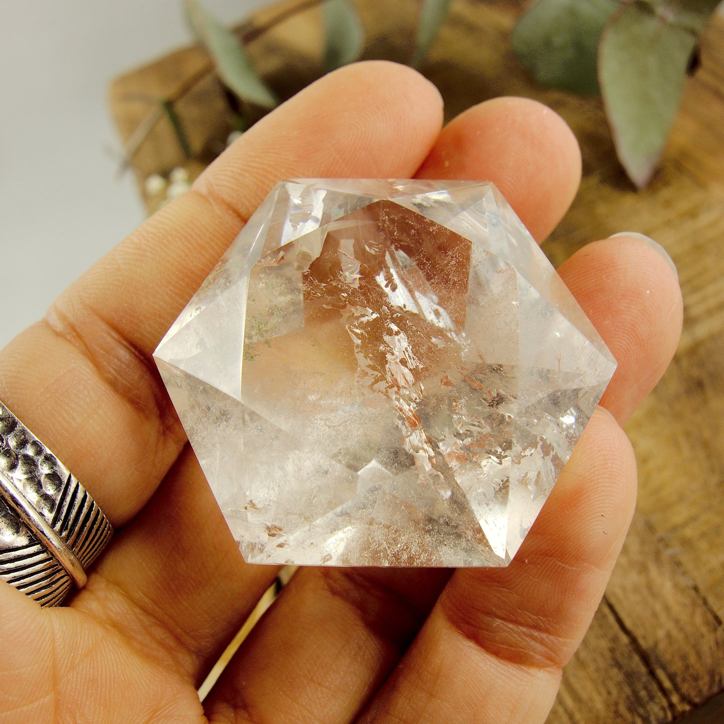 Green Chlorite Included Faceted Diamond Cut Clear Quartz Specimen - Earth Family Crystals