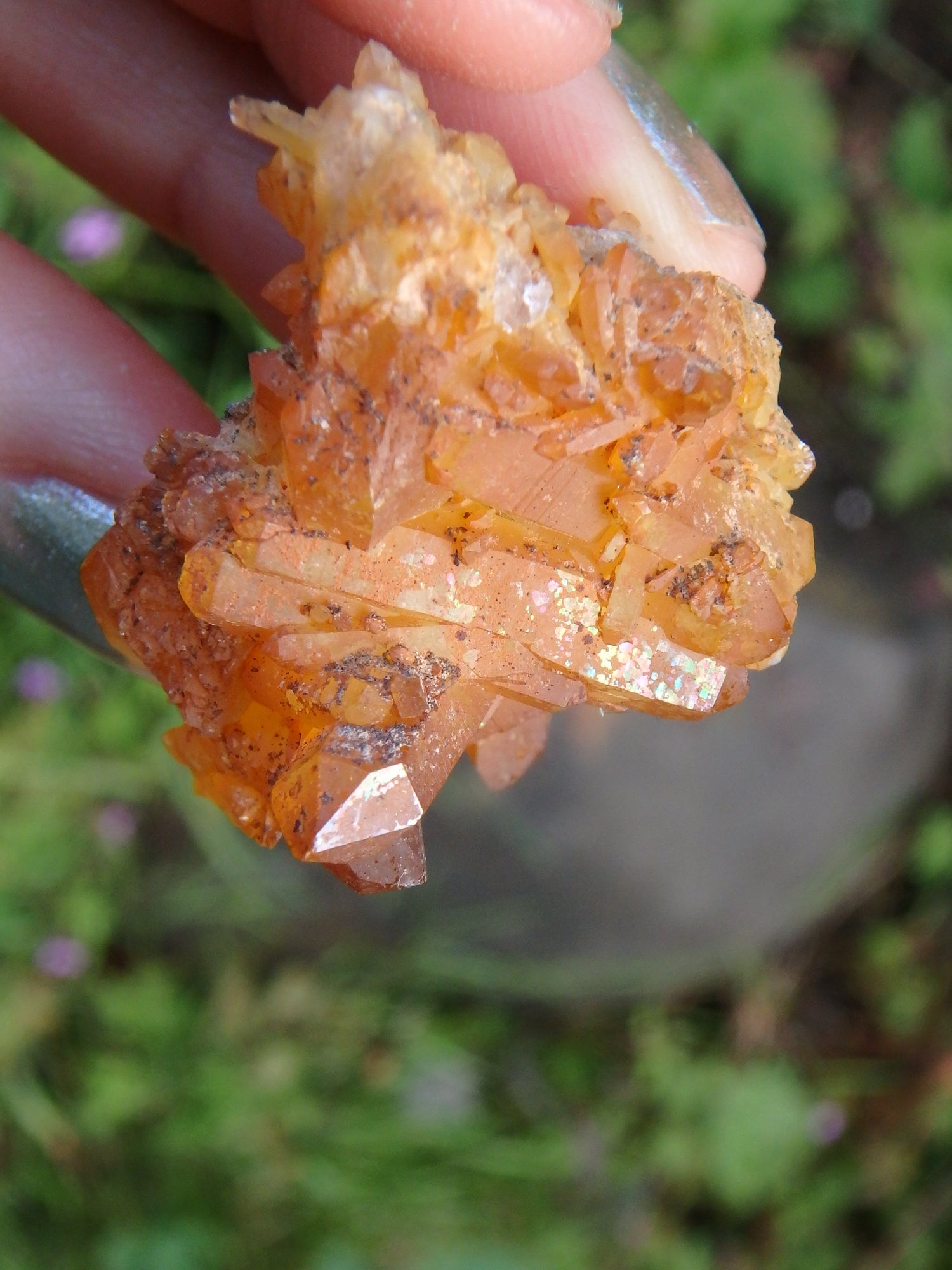 Hand Held Rainbow Mayanite Quartz Specimen - Earth Family Crystals
